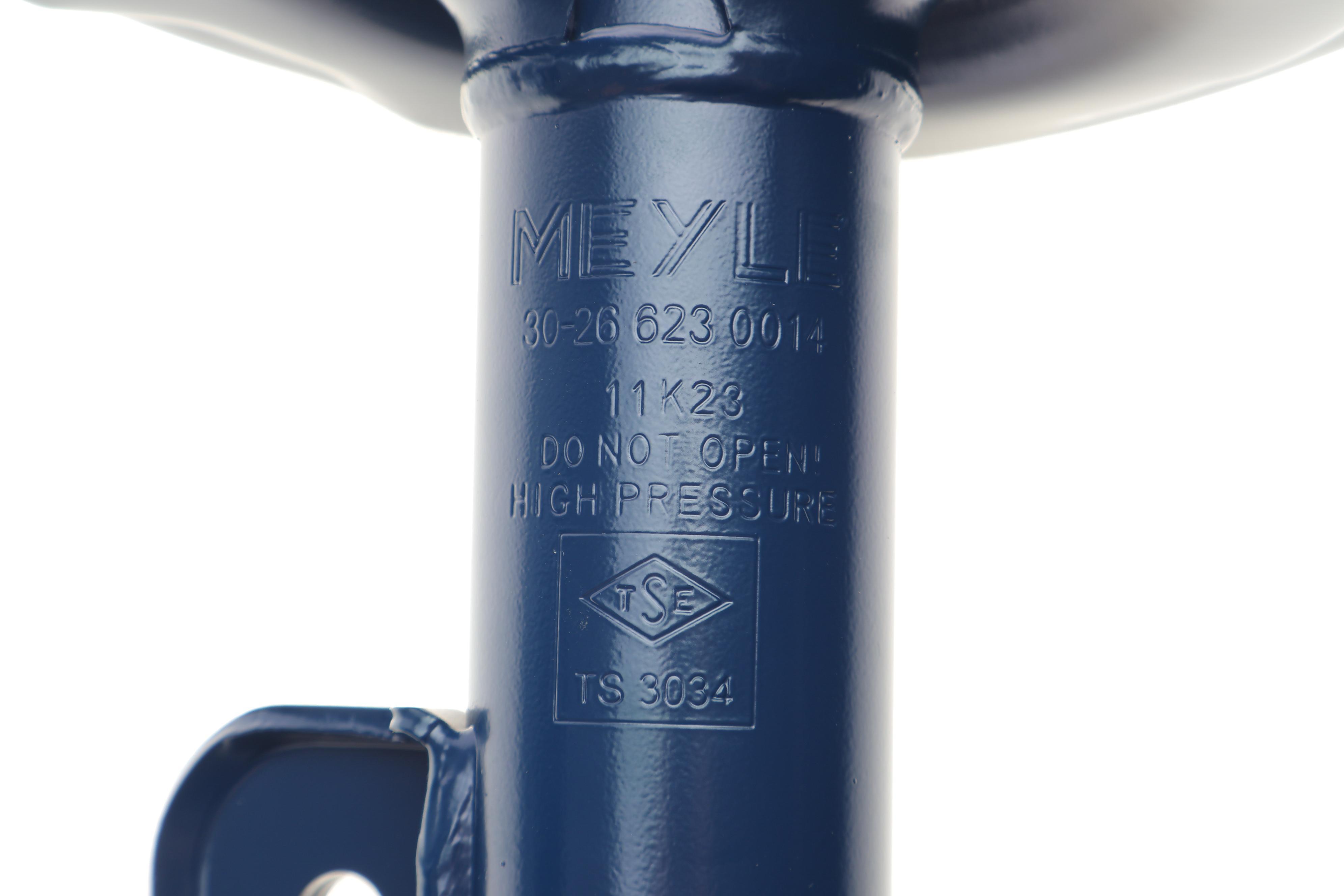 Амортизатор (передній) Toyota RAV4 06- (L)