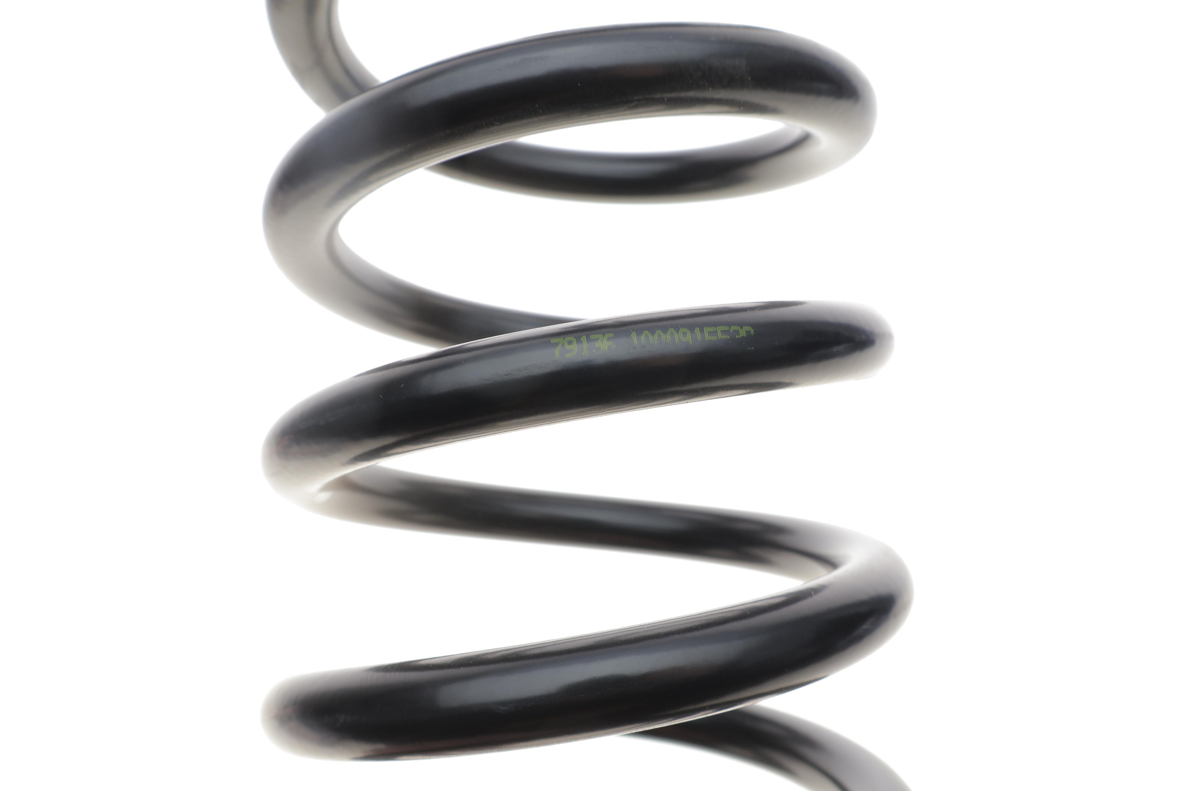 Пружина (задня) Dacia Logan 1.6 16V Flexifuel 10- (седан)/Sandero 1.2/1.4/1.5dCi/1.6 08- (накл.з.ч)