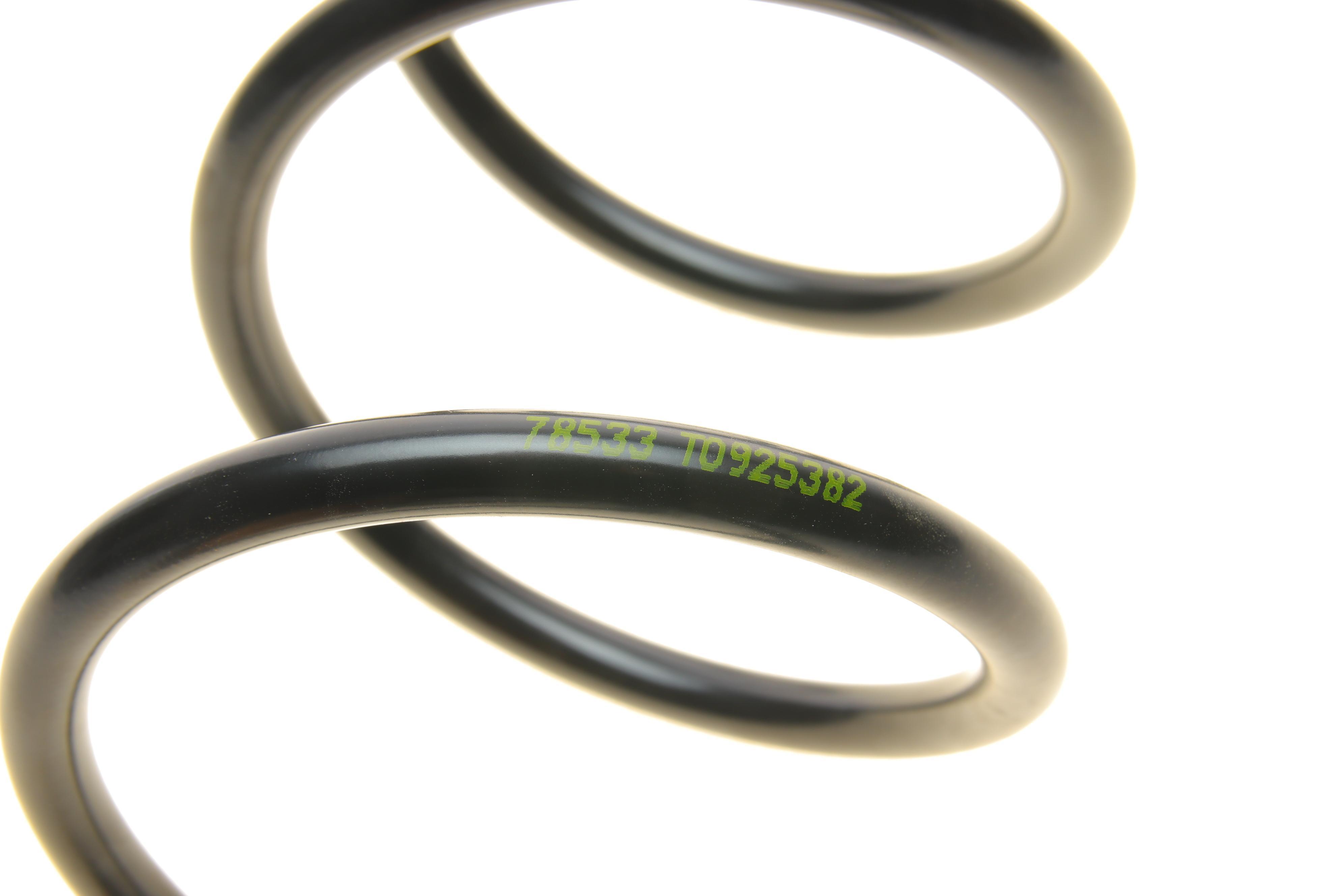 Пружина (задня) MB B-class (W245) B150-B200/B180CDI/B200CDI 05-11 (накл.зад.ч) (без спорт ход.ч.)