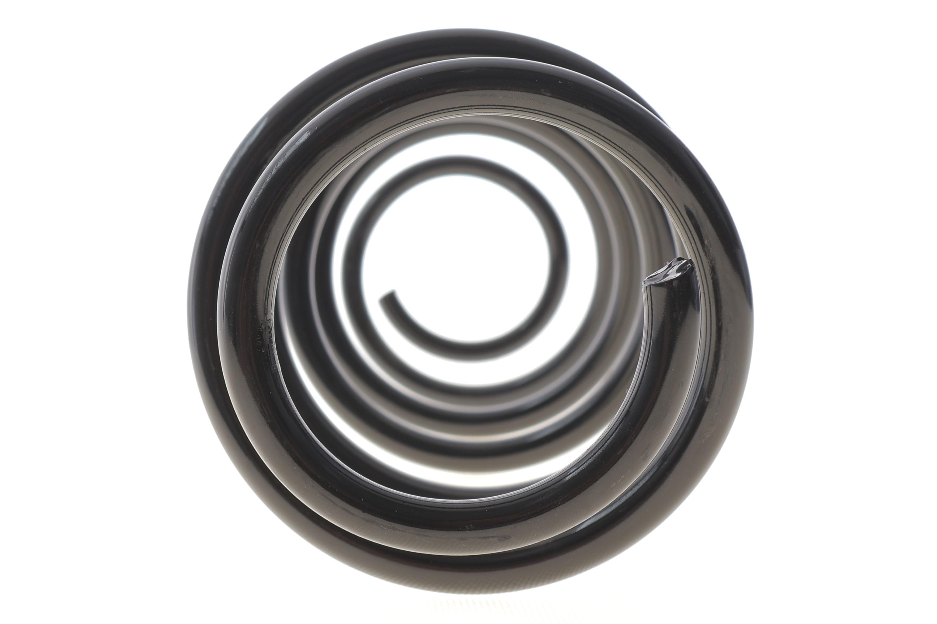 Пружина (задня) Renault Laguna III 1.5dCi/2.0dCi/1.6 16V/2.0 16V 07-15