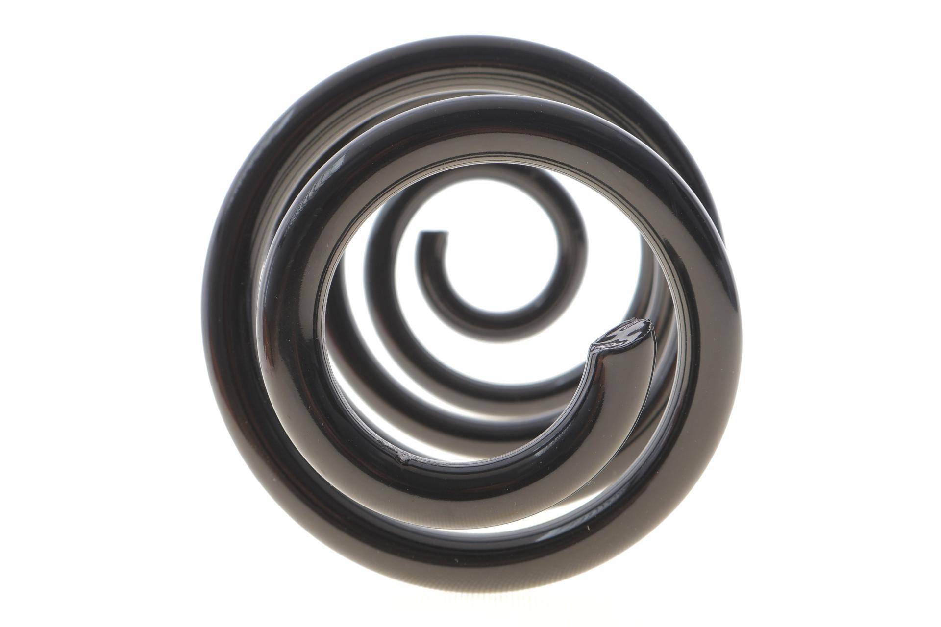 Пружина (задня) Nissan Qashqai 1.5dCi/1.6/dCi/2.0/dCi 07-14