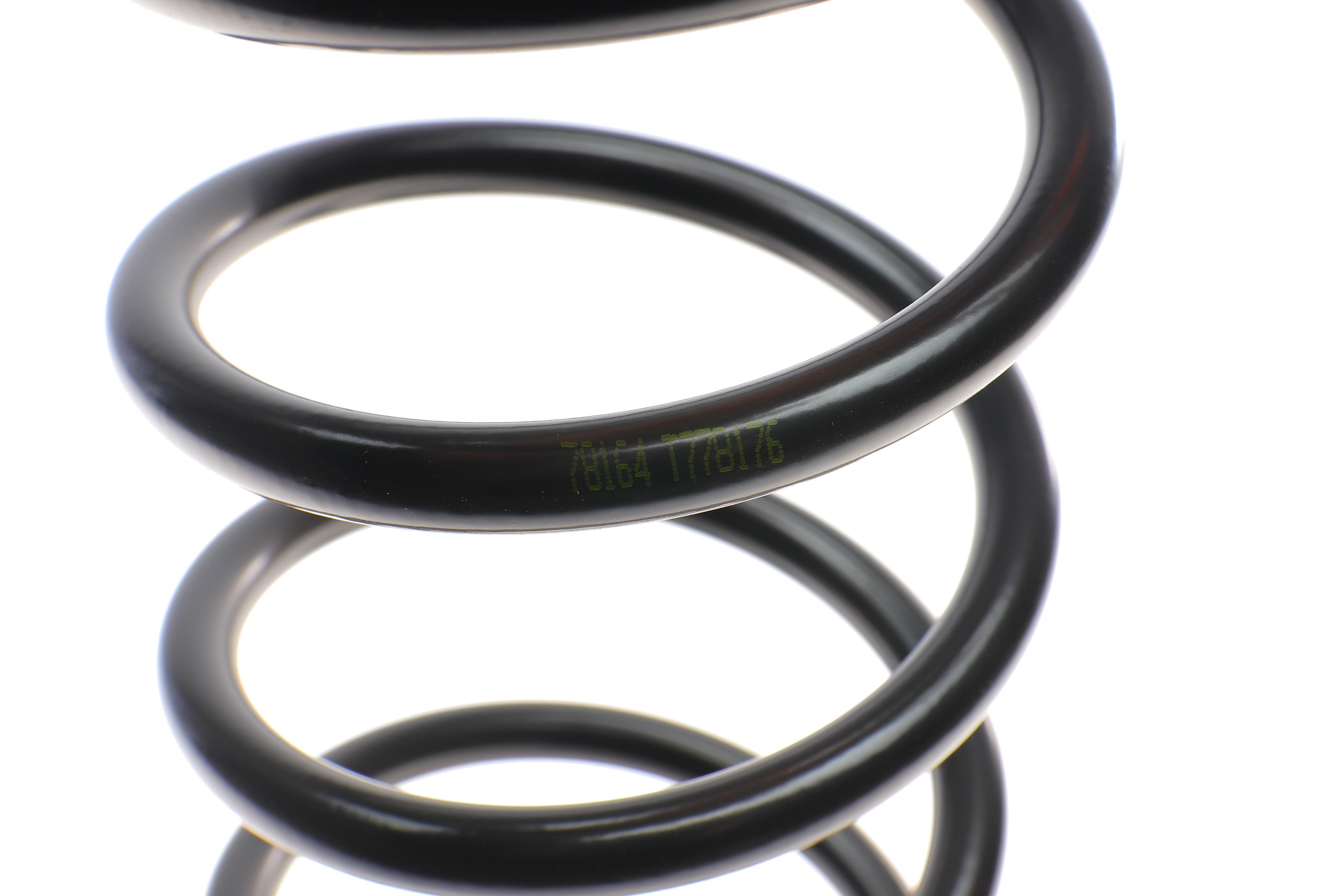 Пружина (задня) Hyundai Sonata IV 2.0 16V/2.4 16V/2.5 V6 24V/2.7 V6 98-04 (седан)