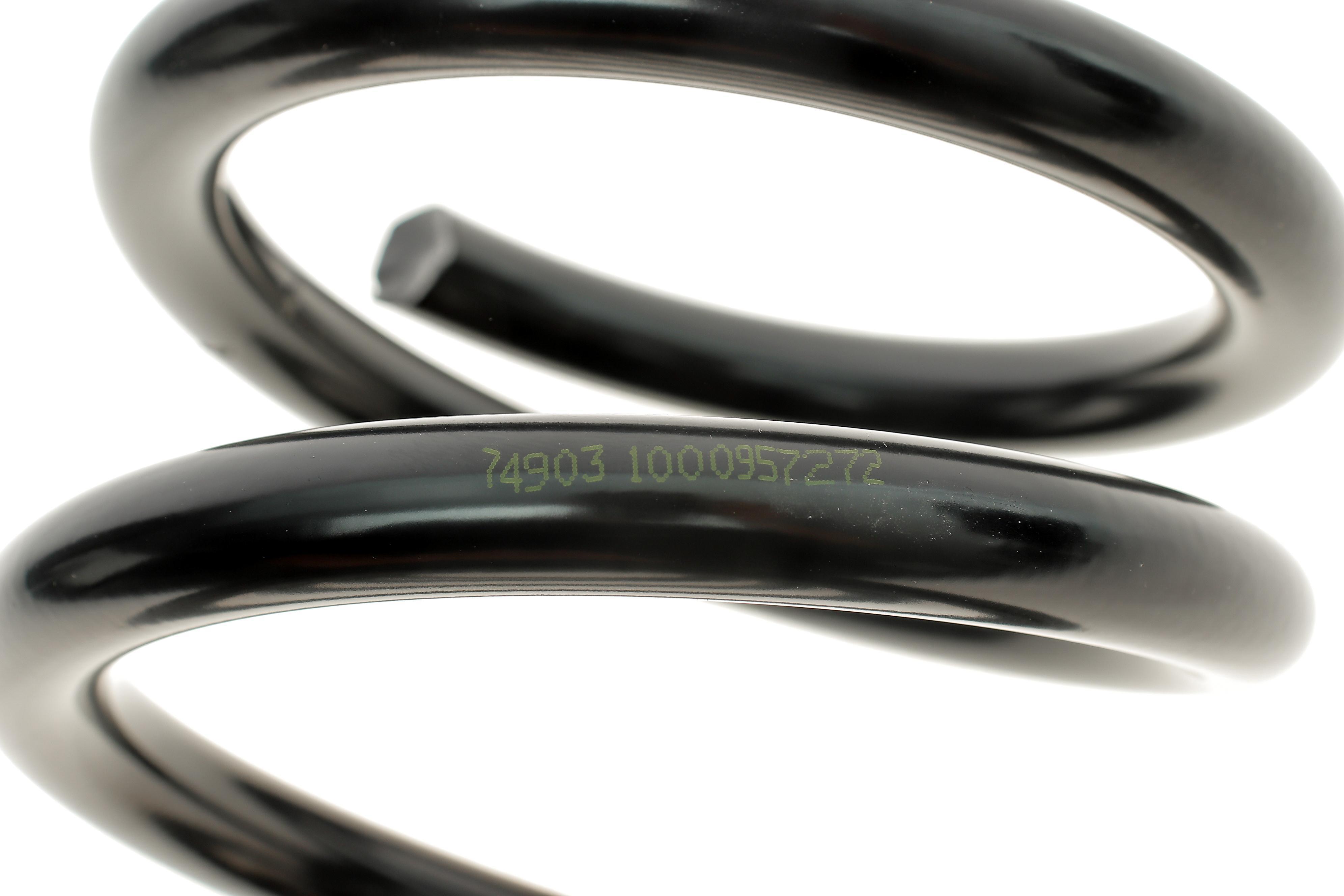 Пружина (задня) Hyundai Santa Fe I 2.0/2.0CRDi/2.4 16V 01-06 (SUV)