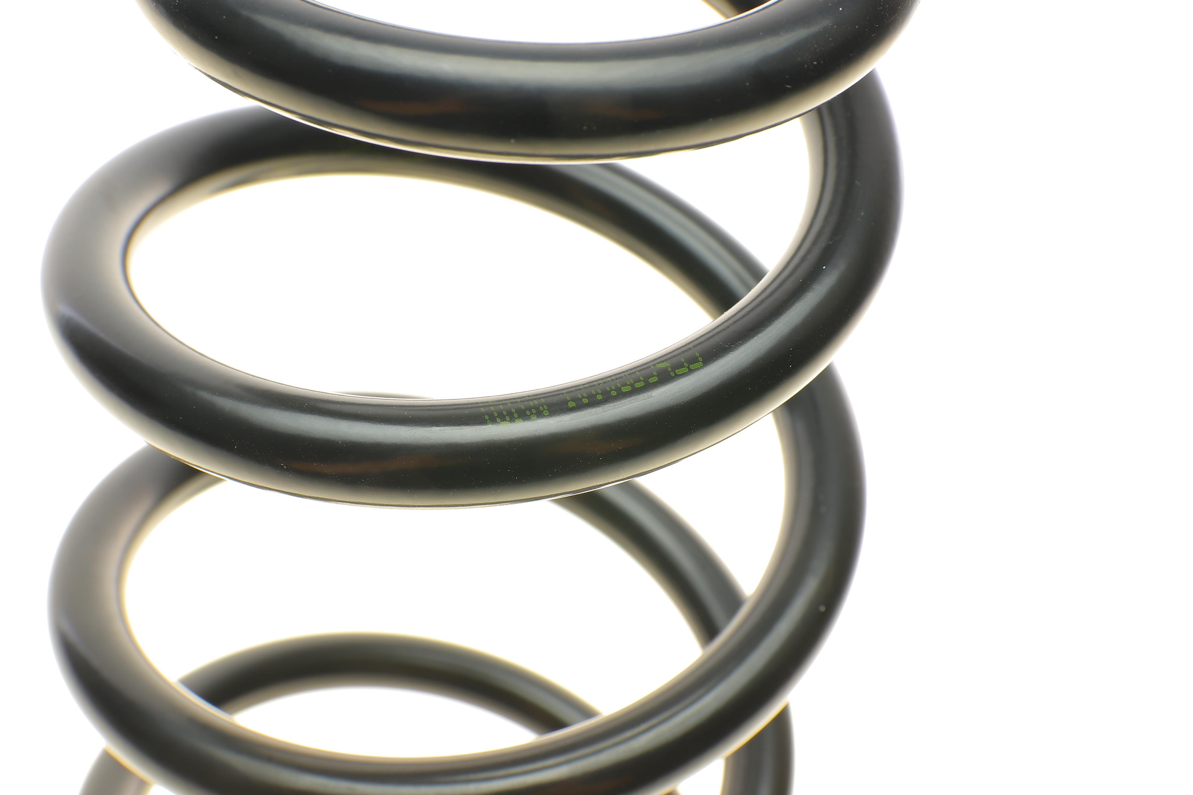 Пружина (задня) Nissan Primera 1.6/1.8/1.9dCi/2.0/2.2Di/dCi 02- (седан/нах.зад.частина)