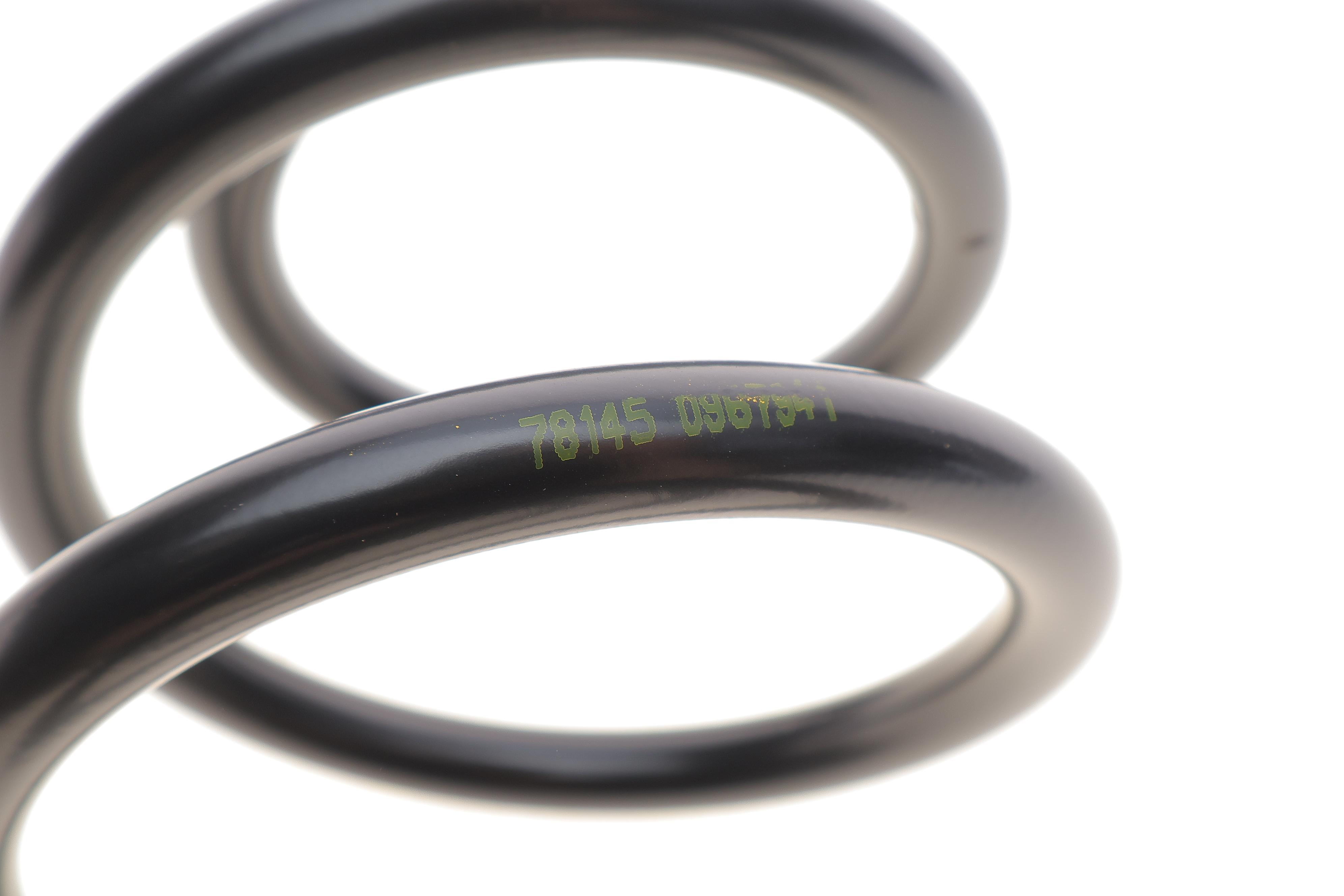 Пружина (задня) Dacia Logan MCV/Express 1.4//1.5dCi/1.6/16V/BiFuel/MPI 07- (фургон/універсал)