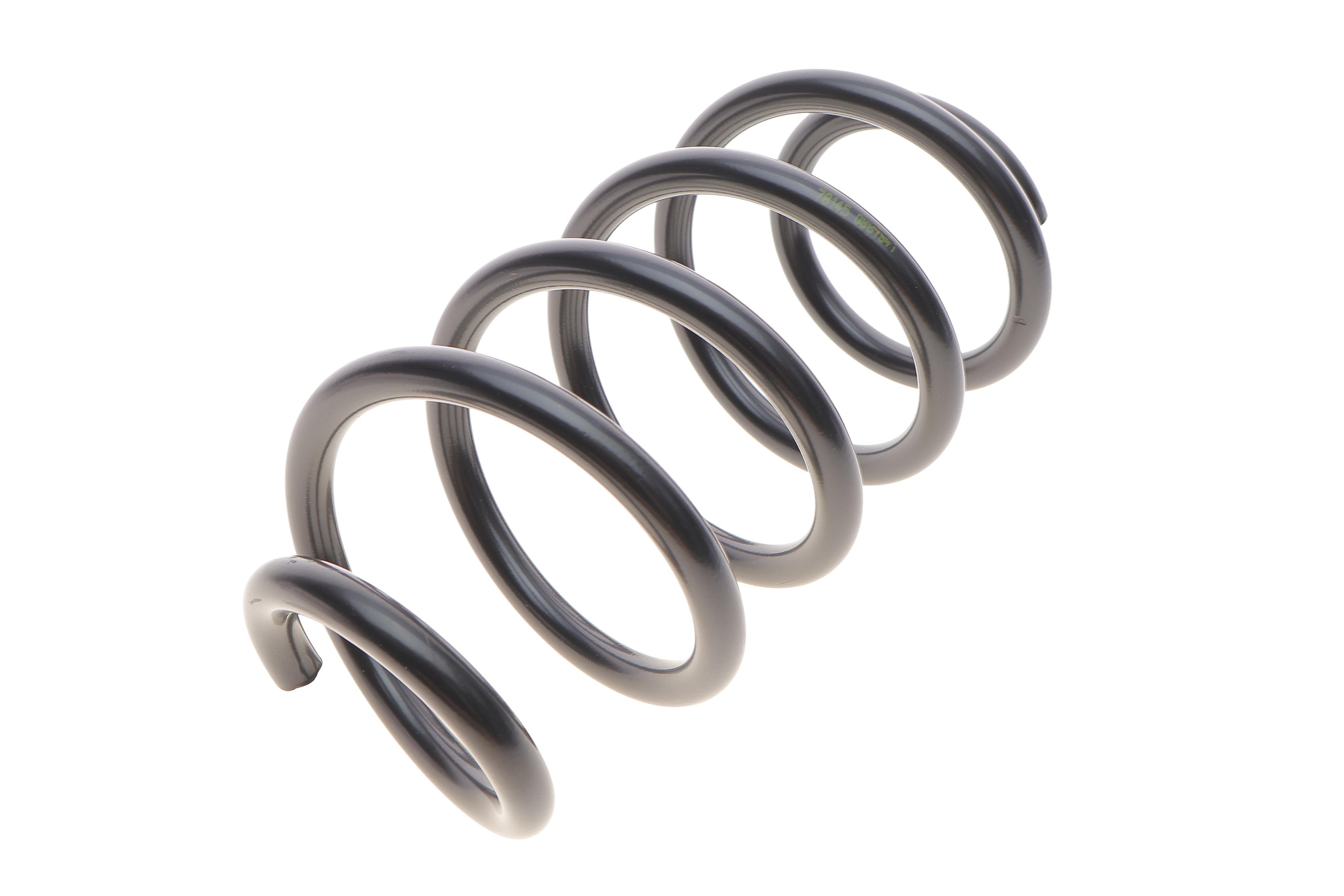 Пружина (задня) Dacia Logan MCV/Express 1.4//1.5dCi/1.6/16V/BiFuel/MPI 07- (фургон/універсал)