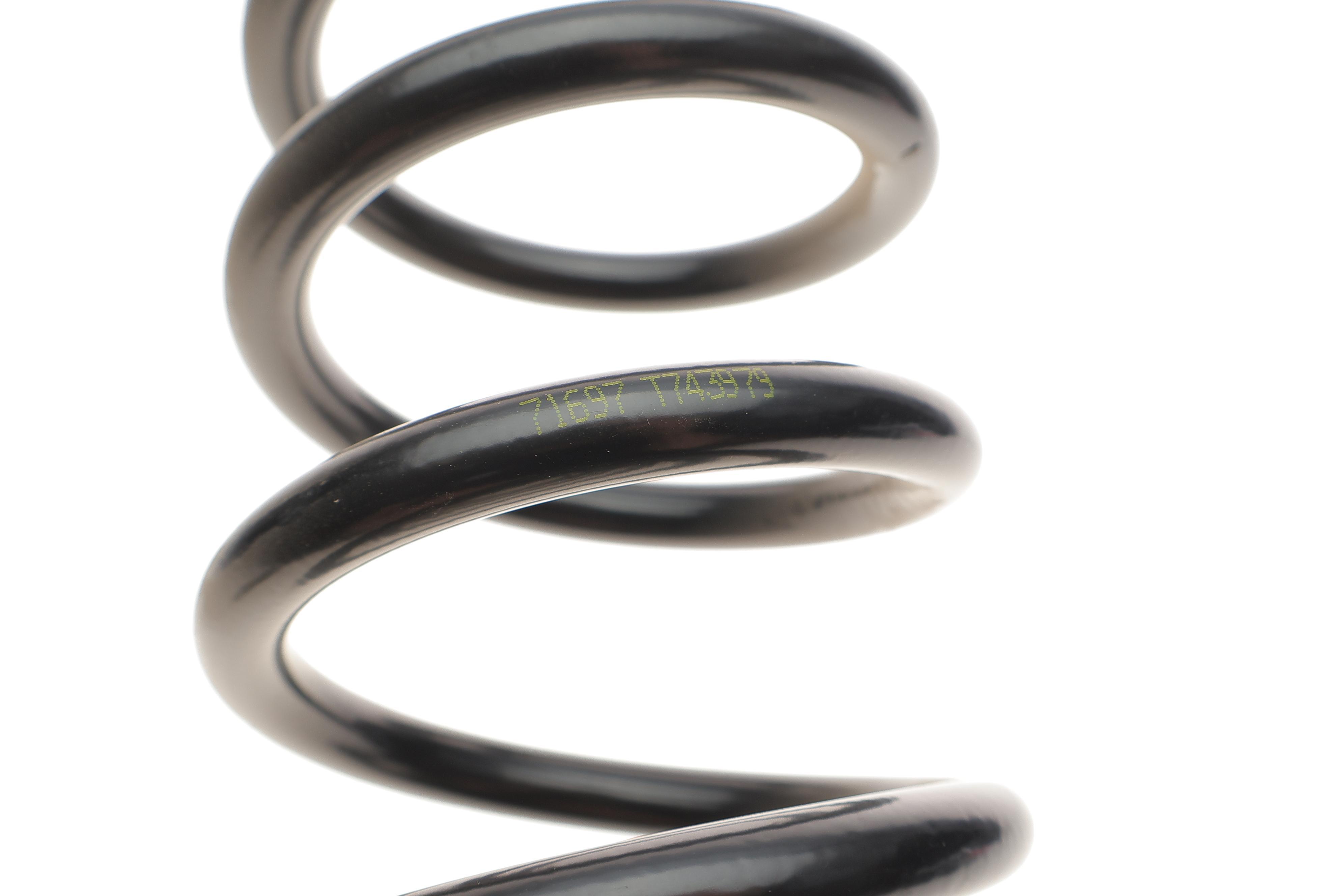 Пружина (задня) Ford Kuga 1.5-1.6 EcoBoost/2.5 13- (SUV/фургон) (зі станд..ход.ч.) (крім ST-Line)