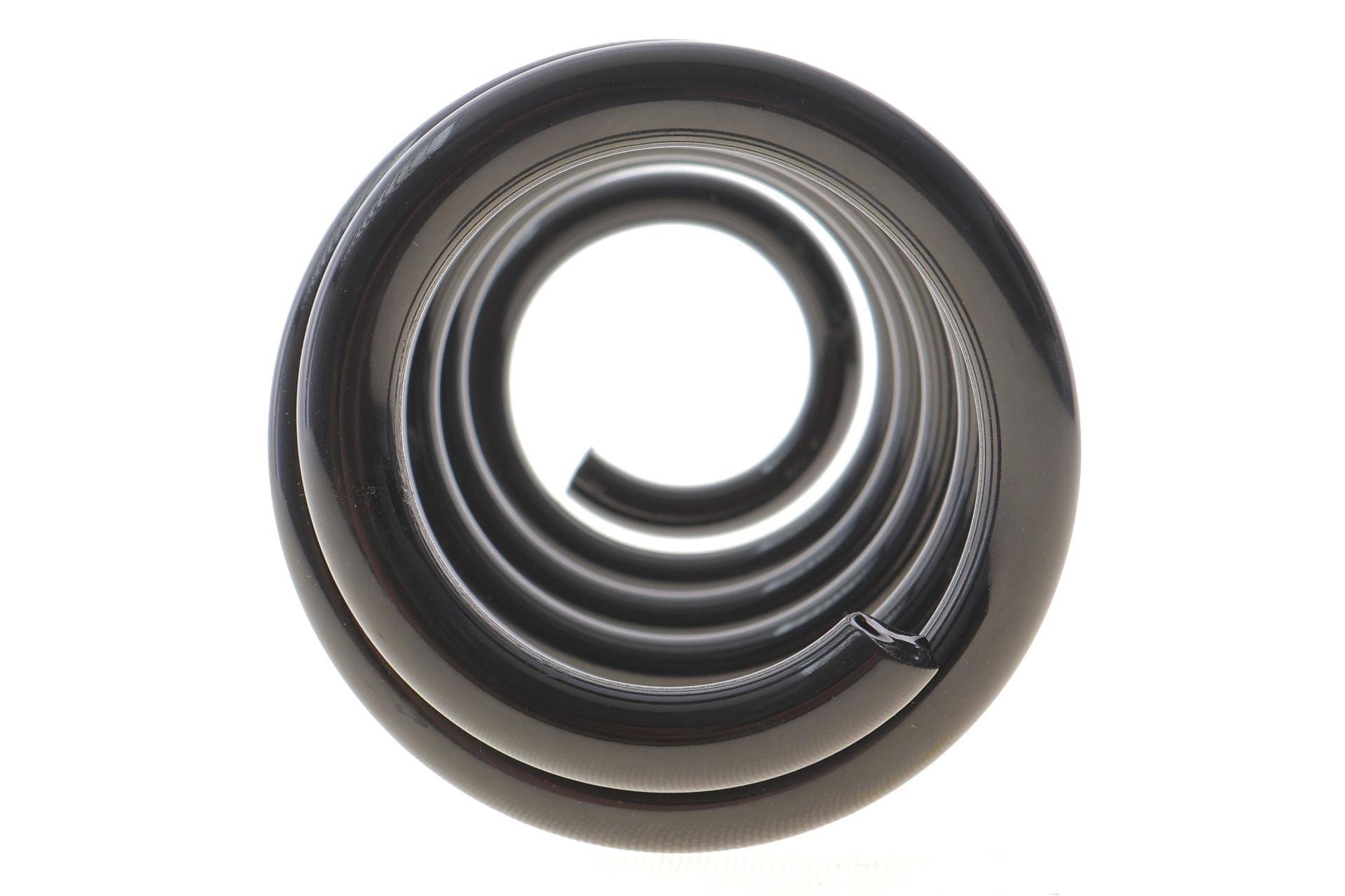 Пружина (задня) Toyota Rav 4 III 2.0 4WD/2.2 D 4WD 05-13