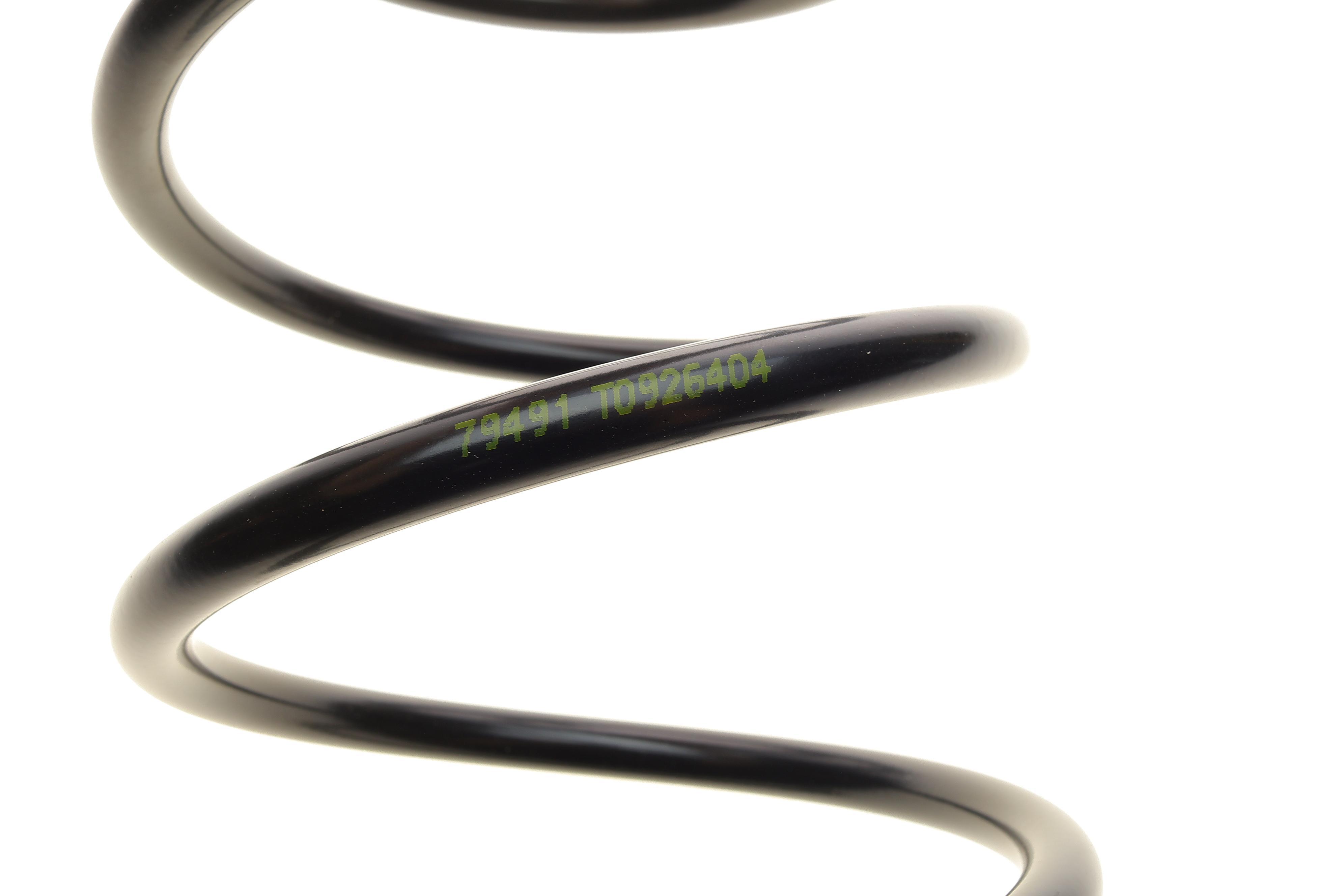 Пружина (задня) Mitsubishi Pajero Pinin 1.8/1.8GDI/2.0GDI 99-07 (всюдихід закритий)