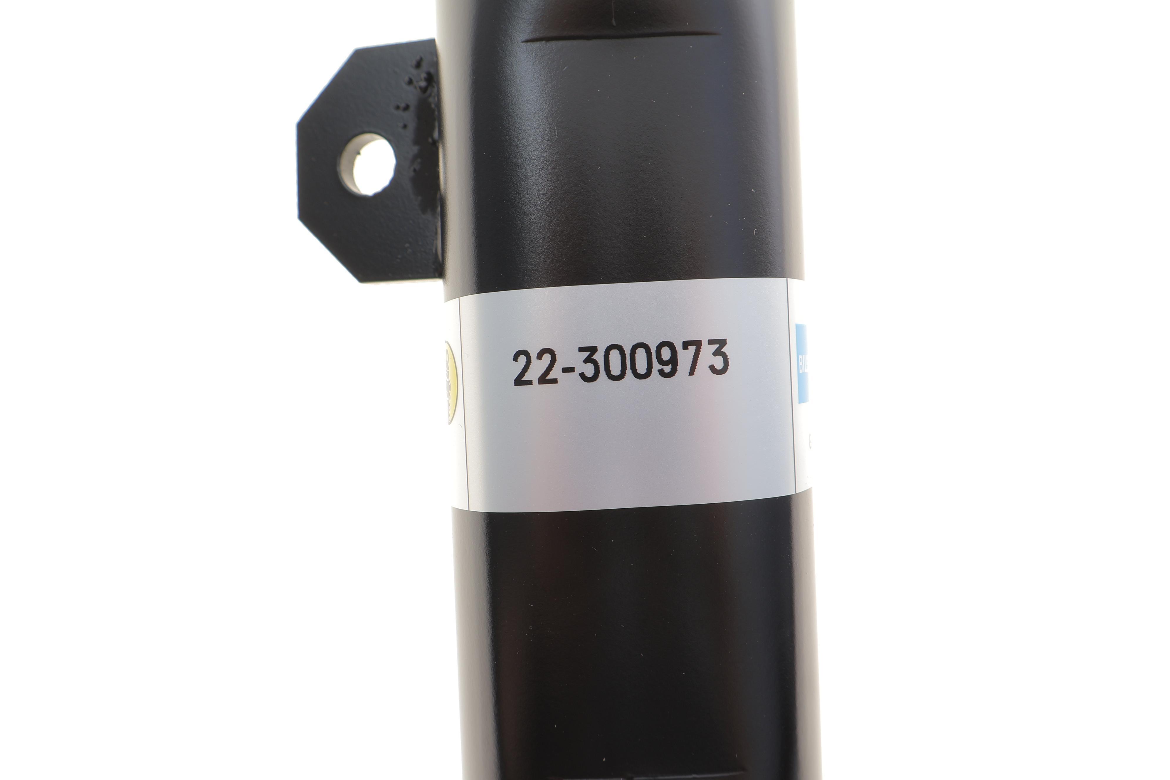 Амортизатор (передній) BMW X2 (F39) 17- (R) B47/B48/B38 (B4)