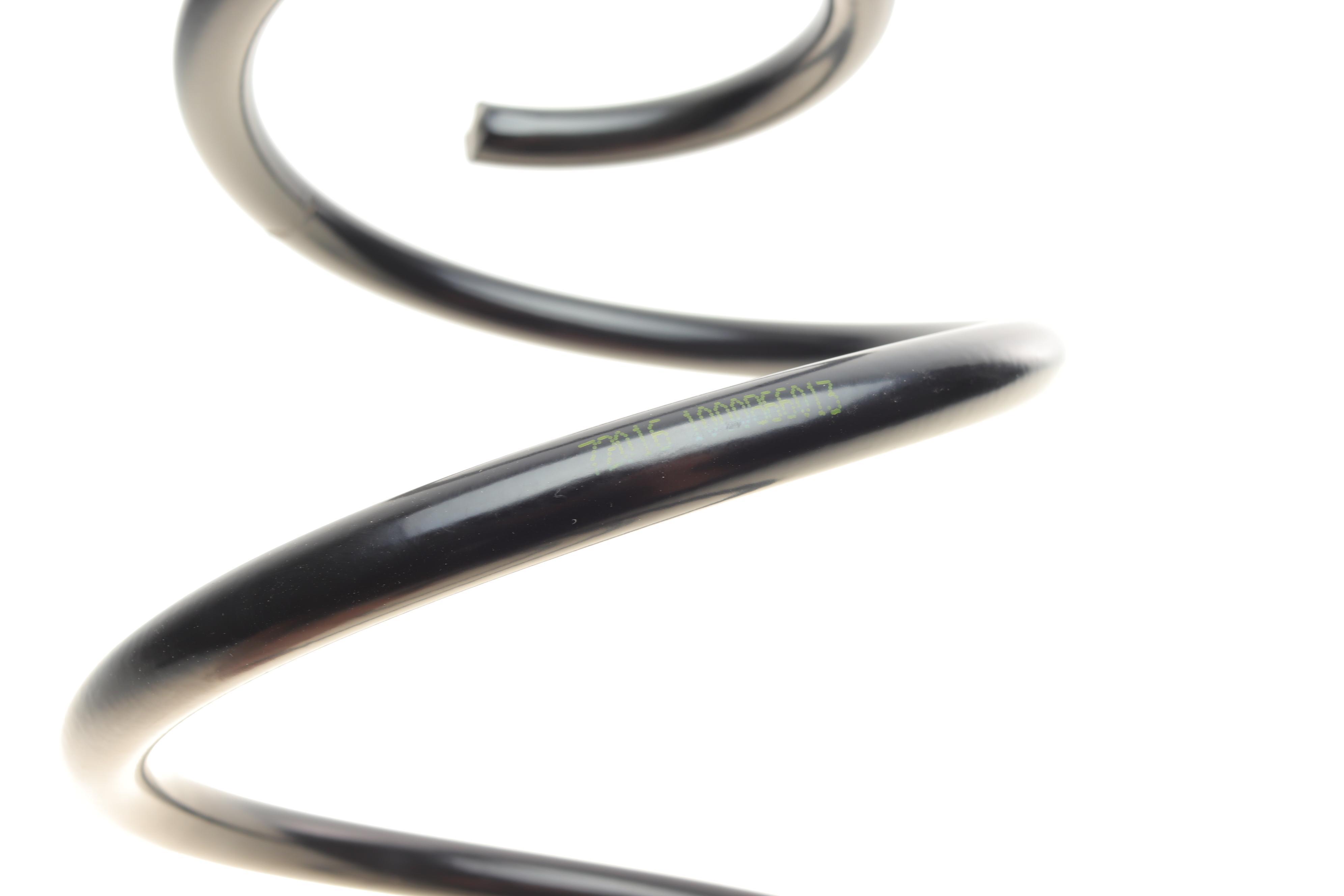 Пружина (задня) Dacia Dokker 1.2TCe/1.5dCi/1.6 12- (вен)