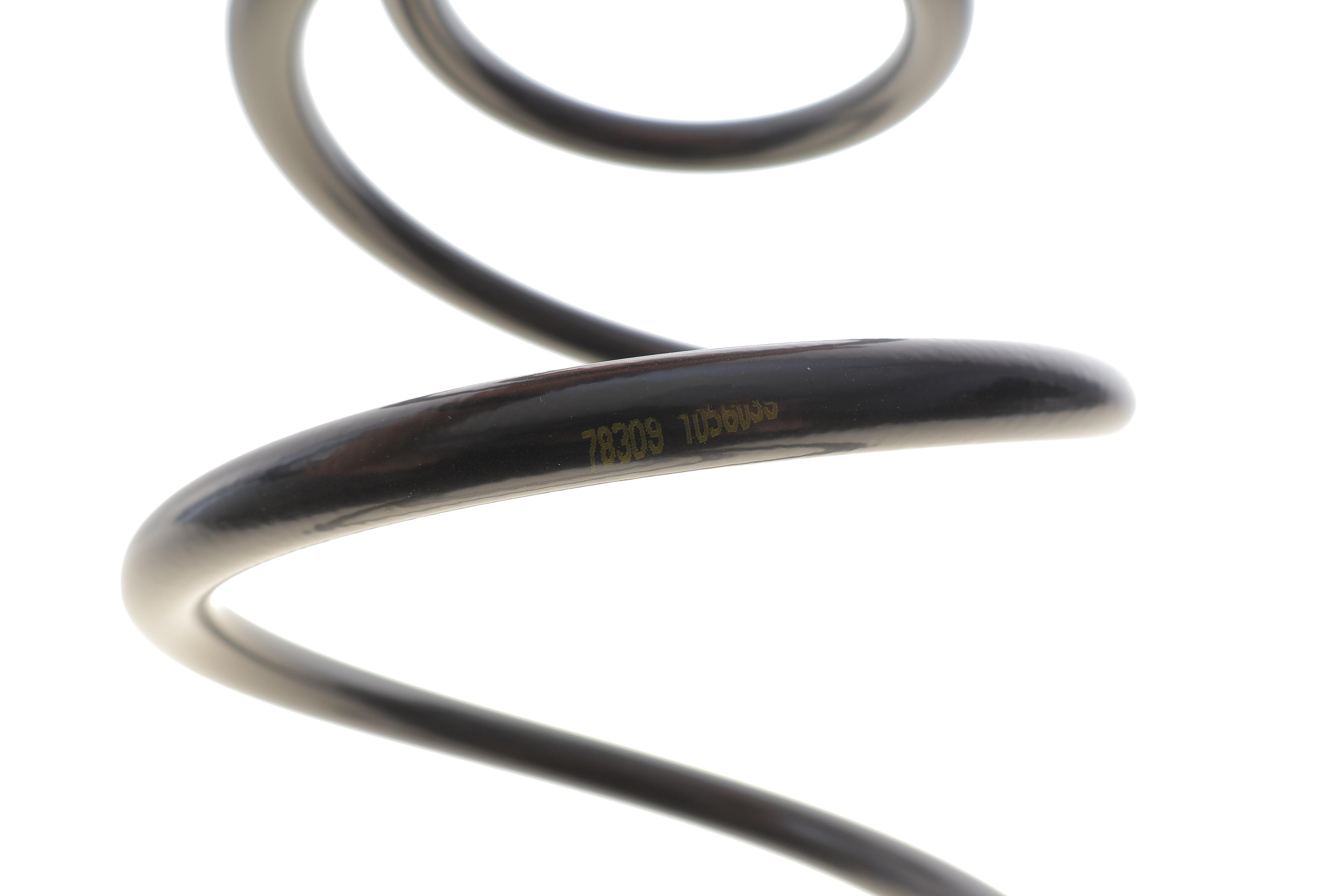 Пружина (передня) Citroen C8/Peugeot 807 2.2 HDi 02- (вен)