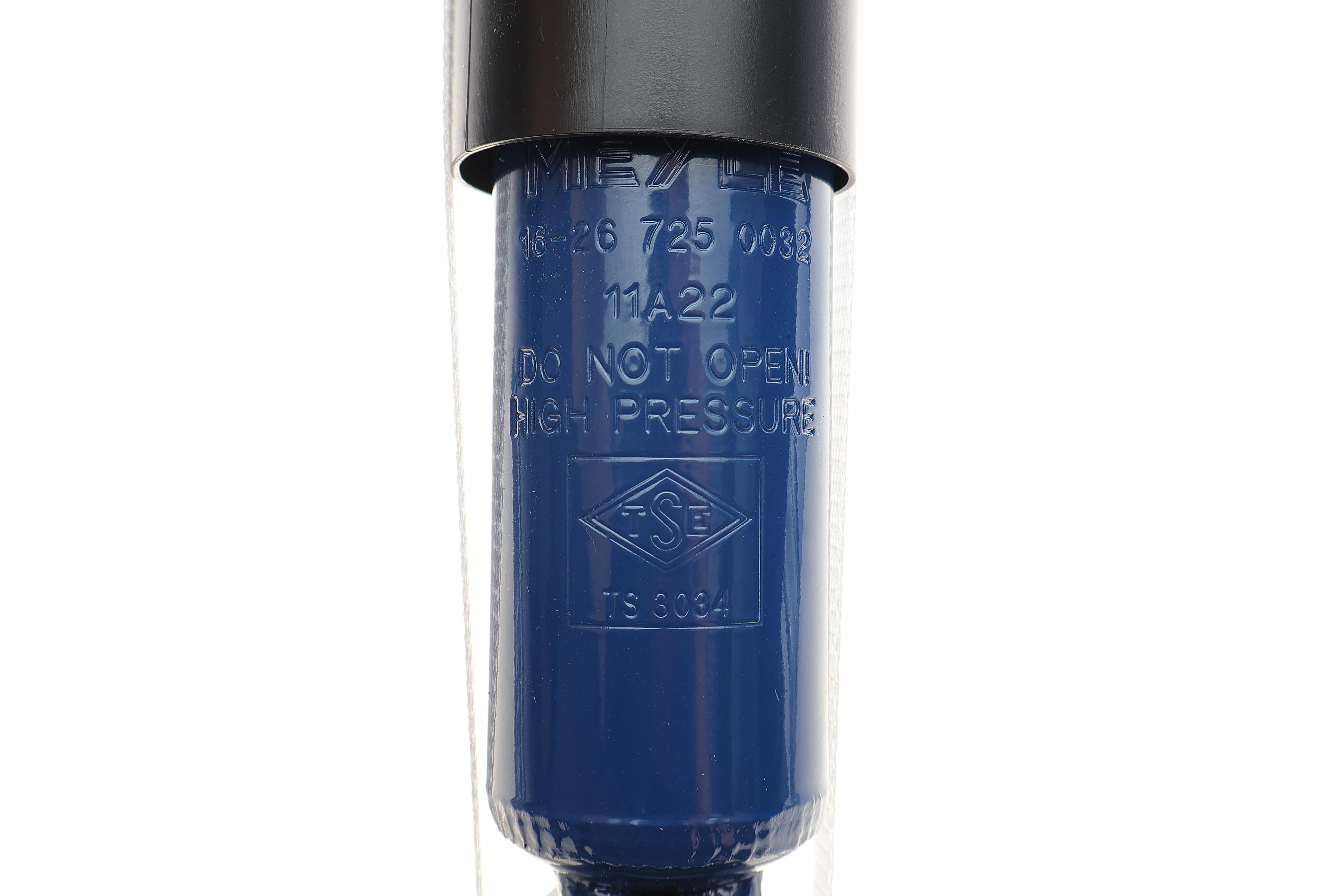 Амортизатор (задній) Dacia Dokker/Lodgy 1.2-1.6 LPG 12-