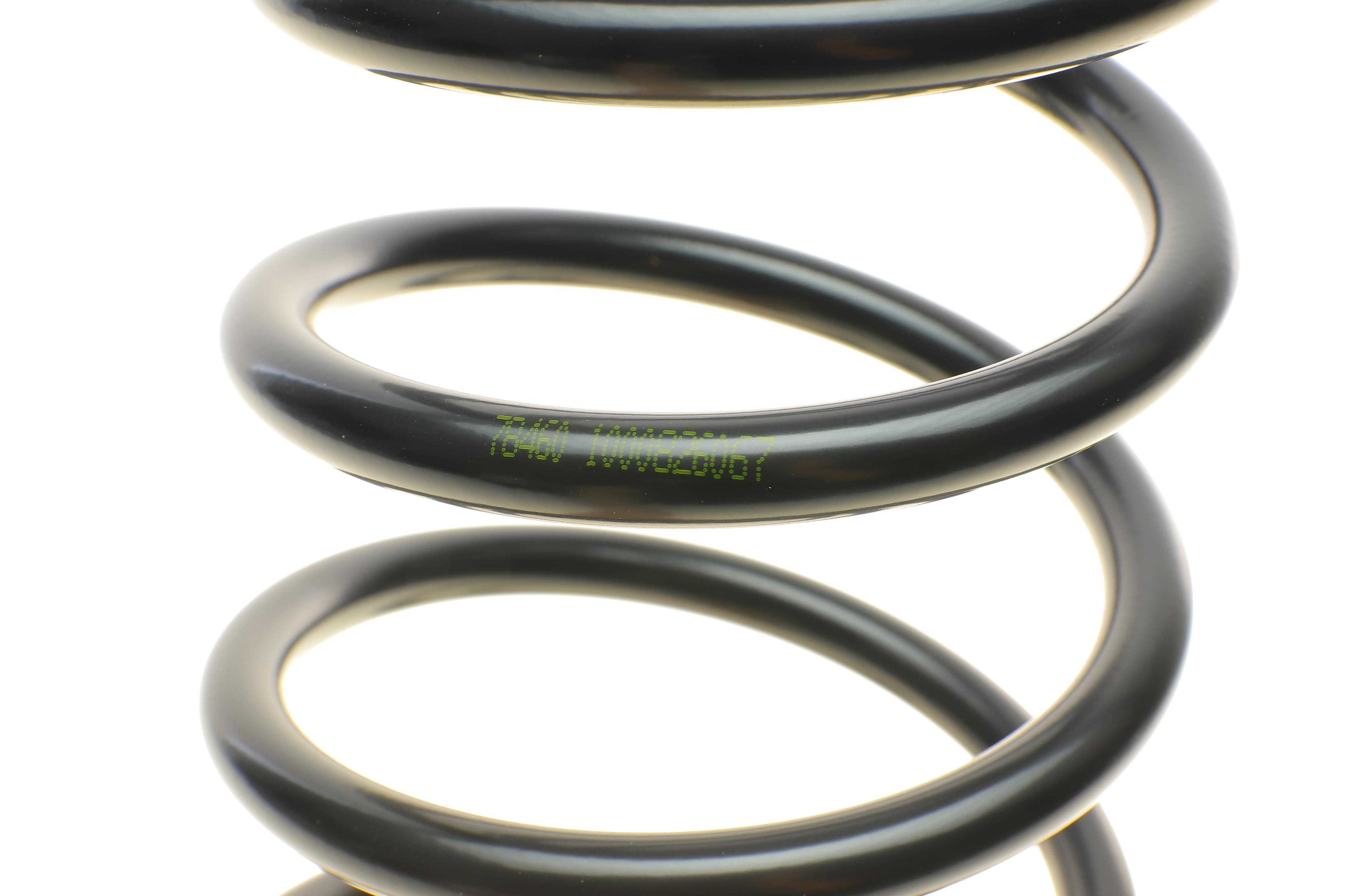 Пружина (задня) Kia Carens 1.8i 00-02/1.8/2.0CRDi/CVVT 02- (вен)