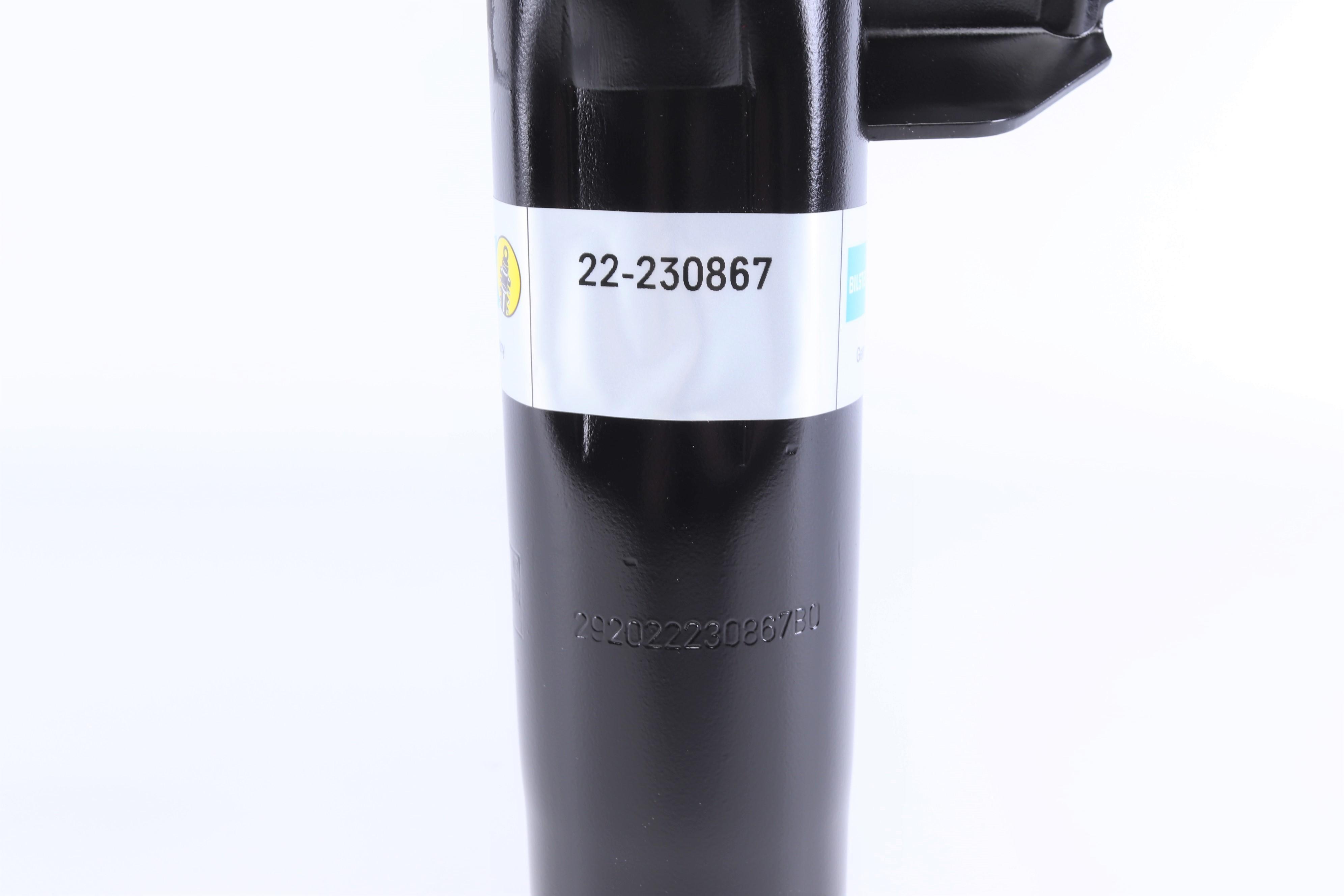 Амортизатор (передній) BMW 5 (E60/E61) 05-10 (L) (B4)