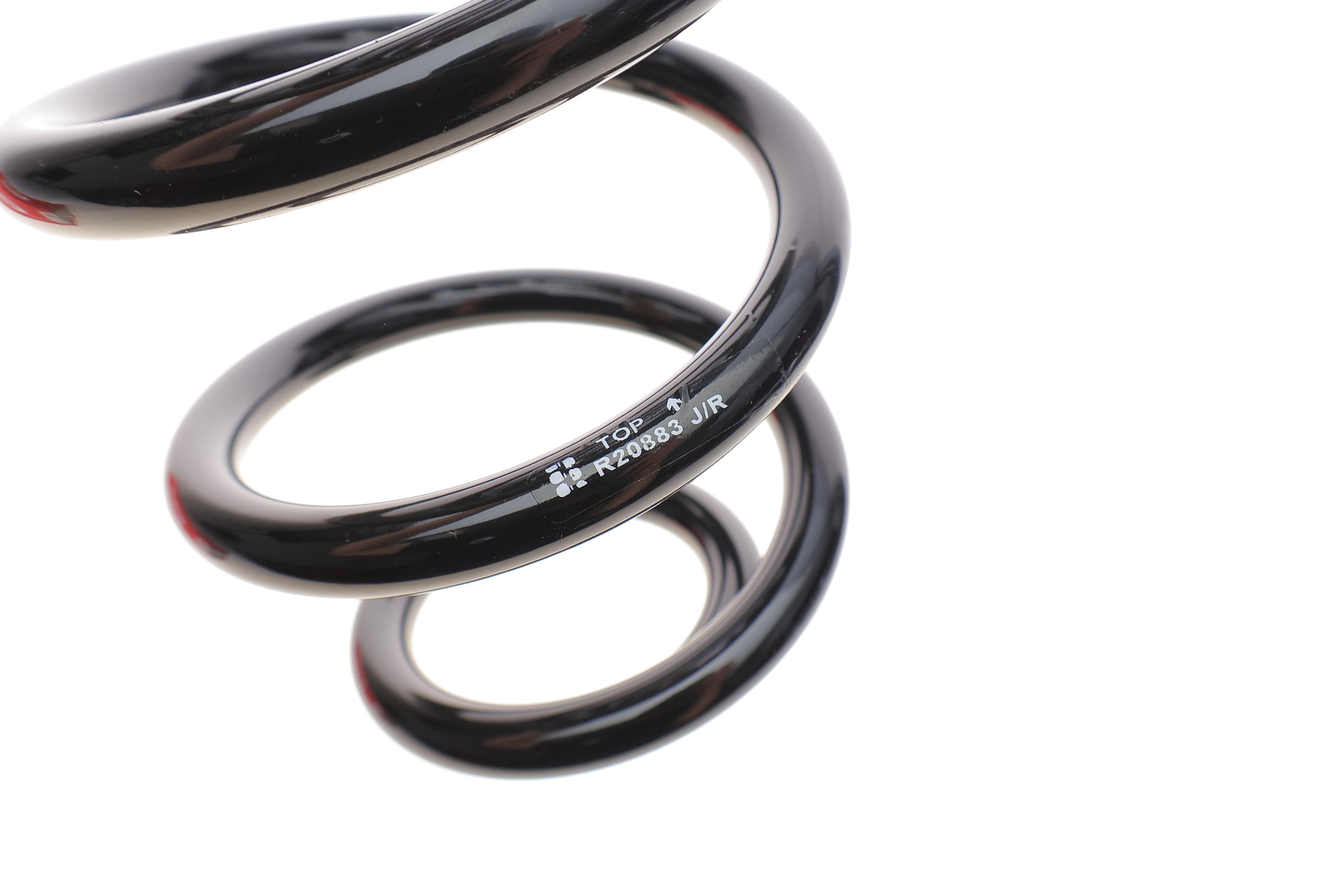 Пружина (задня) VW Passat B8/Skoda Superb III 1.4-2.0 TSI/TDI 14-