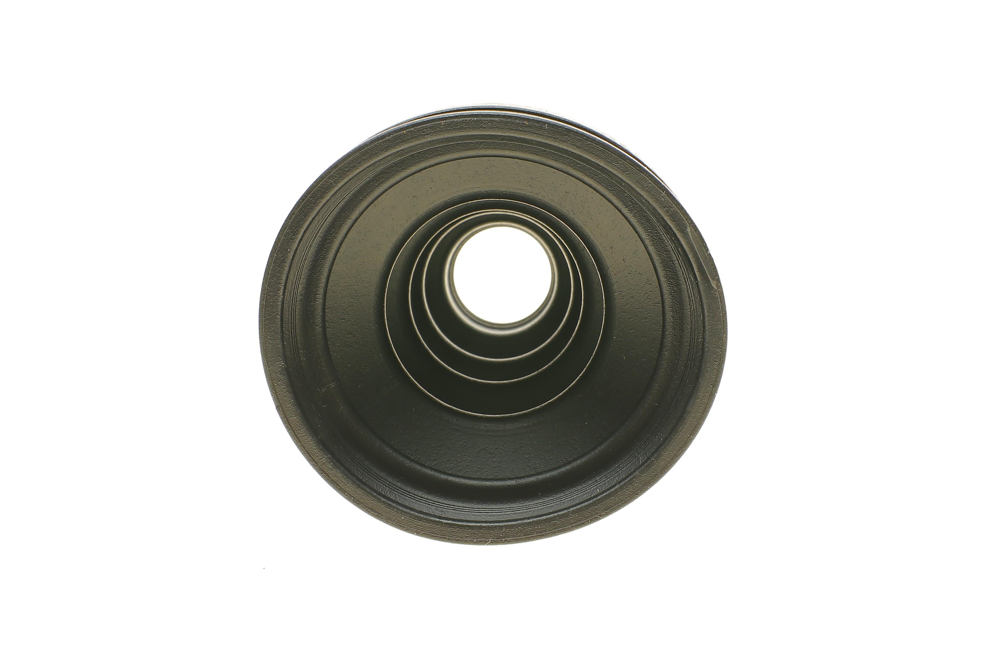 Пильник ШРКШ (зовнішній) Renault Grand Scenic/Scenic 1.5dCi 03-08/Twingo 1.6RS 08- (24x80x116)(к-кт)