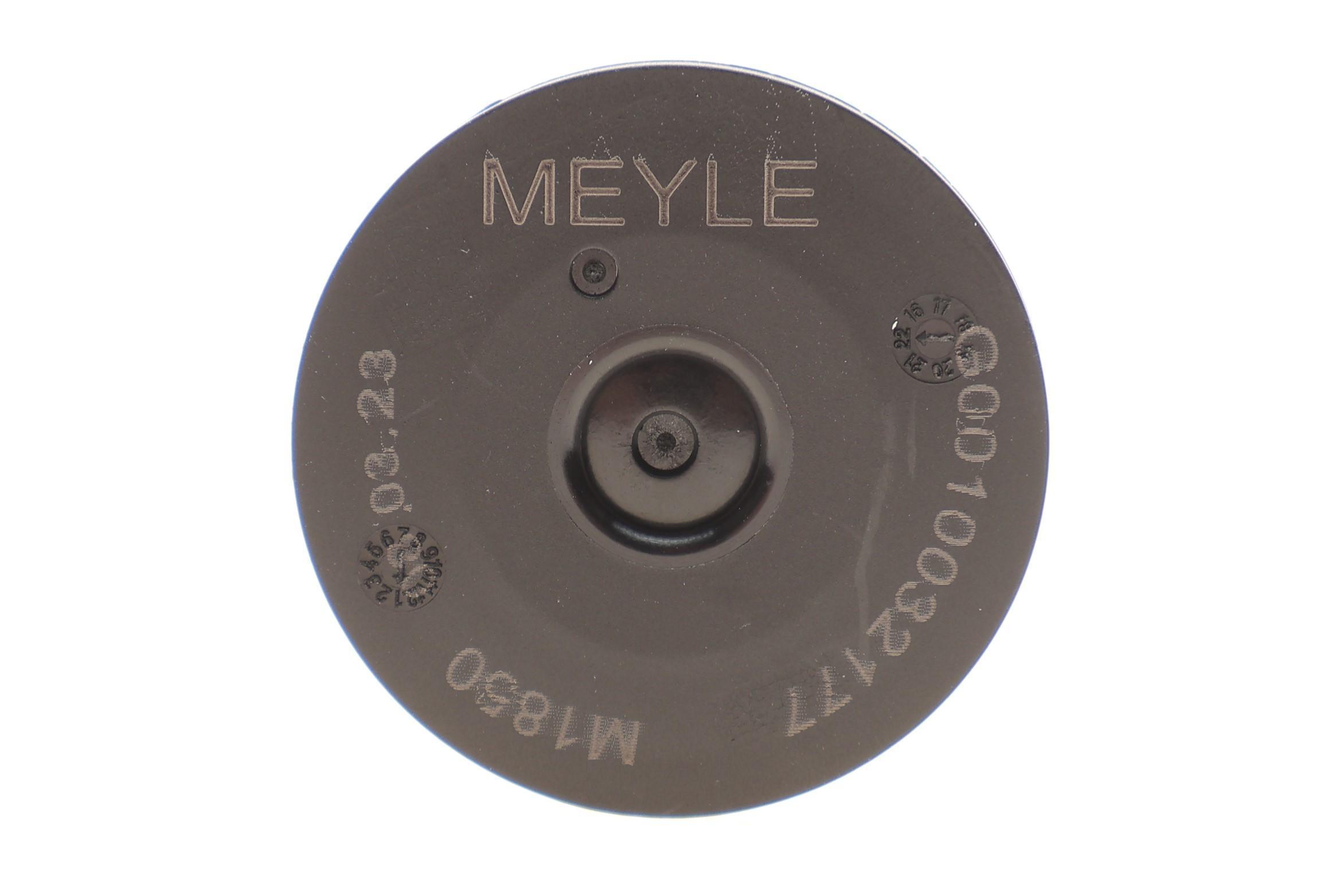 Фільтр АКПП Audi A4/A5/A6/A7/Q5 2.0-3.0 TDI/TFSI 09-18 (DSG 0B5, DL501)