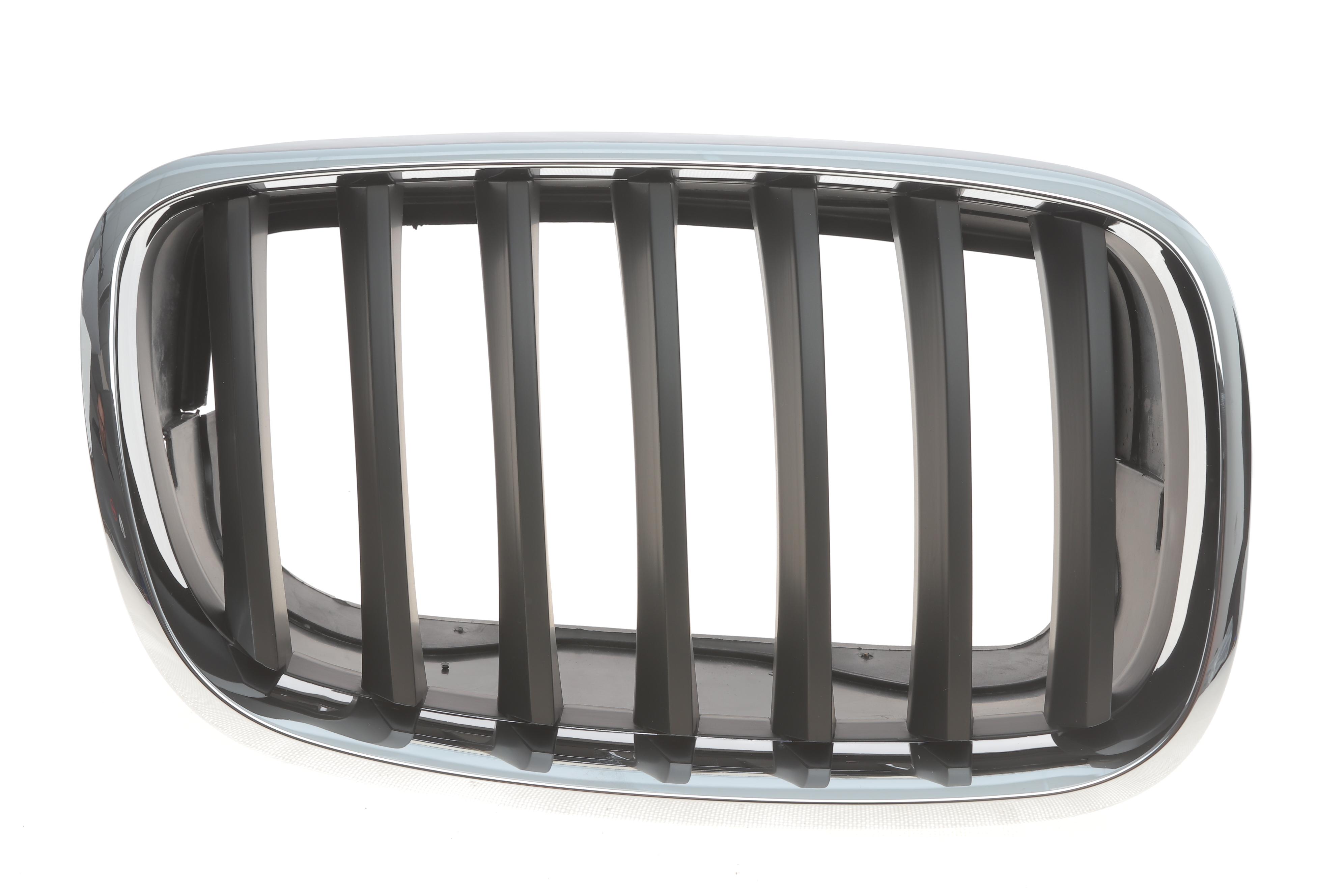 Решітка радіатора BMW X5 (E70)/X6 (E71) 06-14 (R)