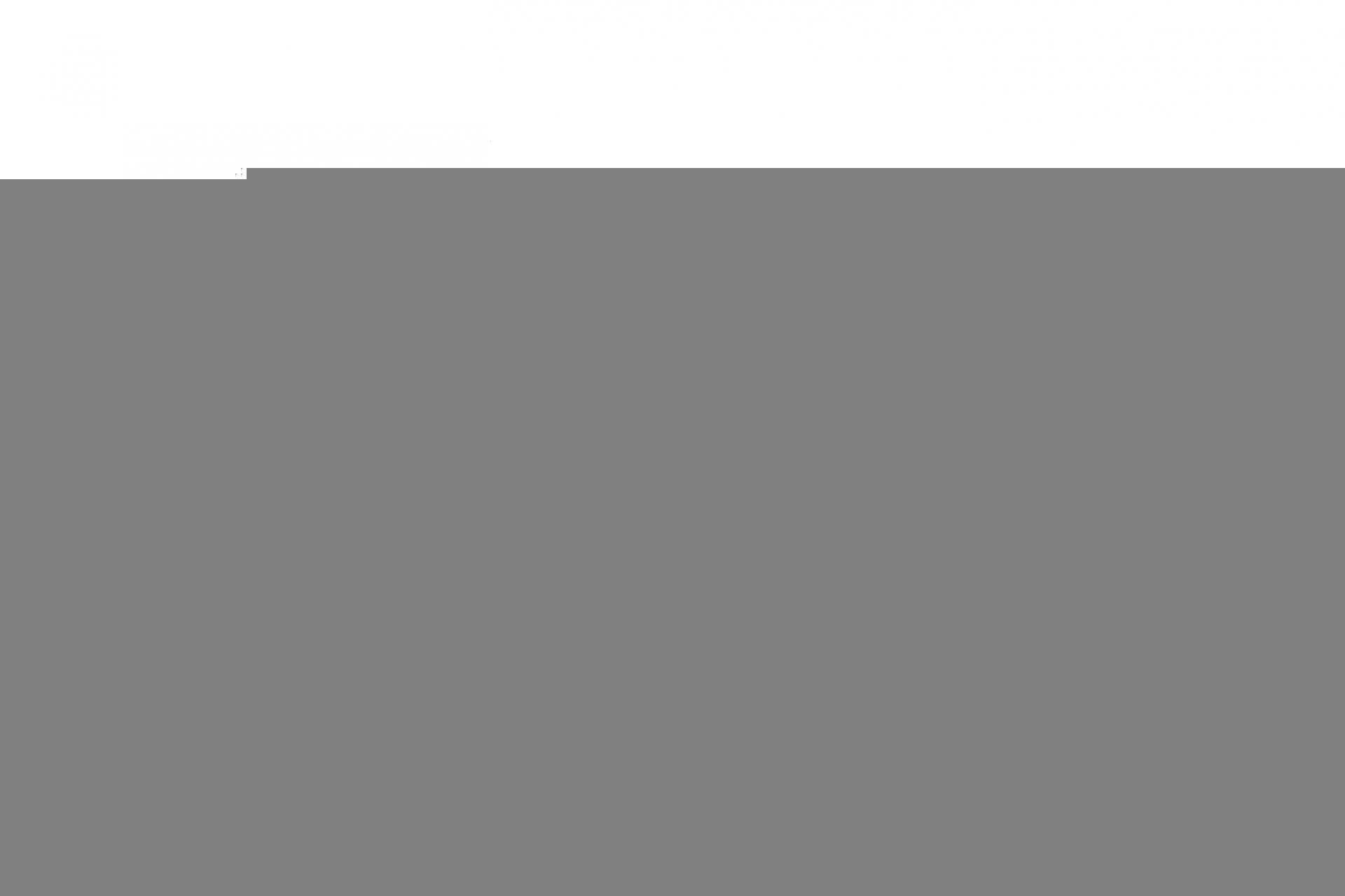 Заглушка ручки дверей (L) Renault Laguna/Megane/Scenic 03-09 (сіра)