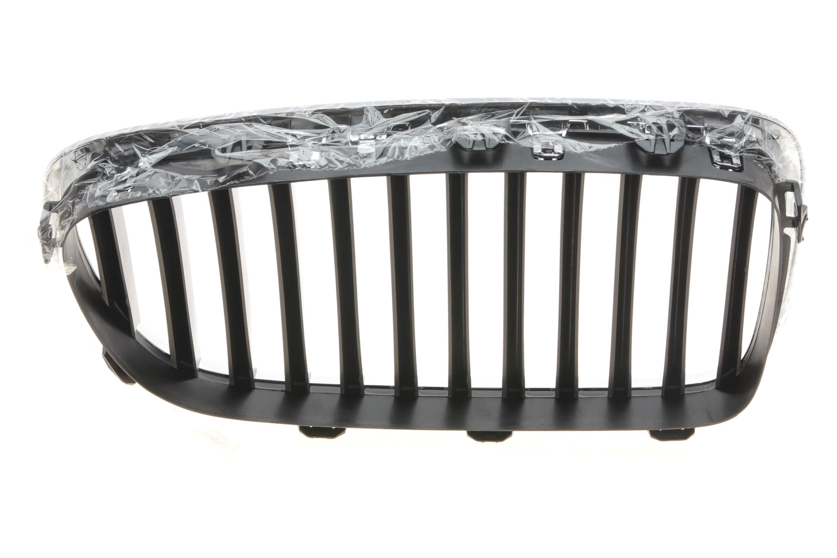 Решітка радіатора BMW 5 (F10) 13-16 (L)