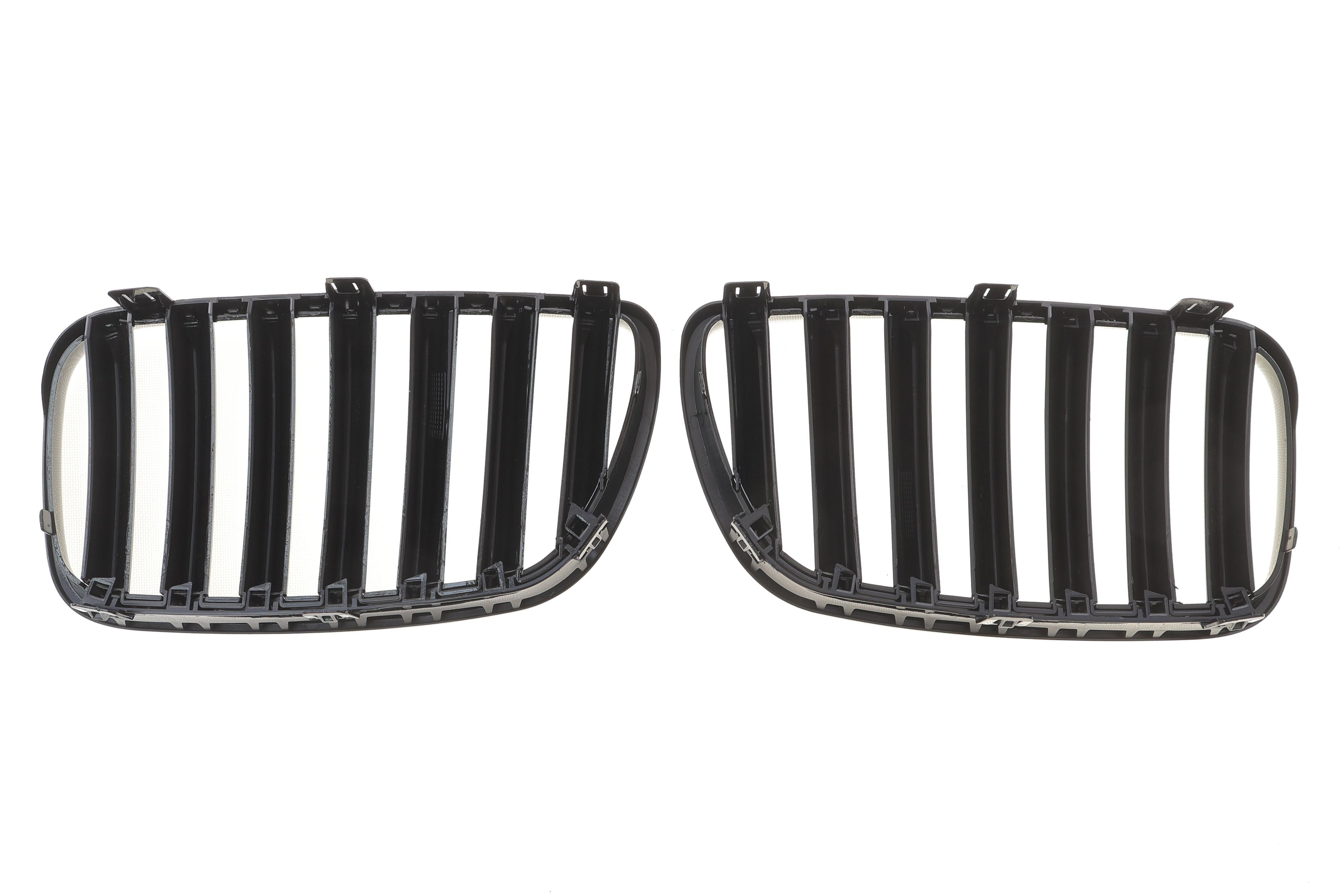 Решітка радіатора BMW X3 (E83) 07-10 (к-кт)