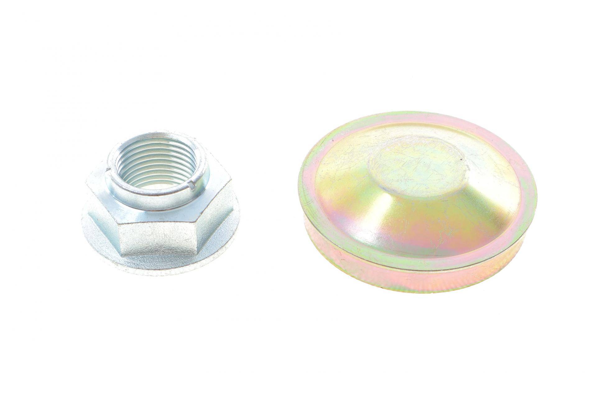 Диск гальмівний (задній) Renault Trafic/Opel Vivaro 01- (280х12) (з підшипником) (з покр.) (повний)