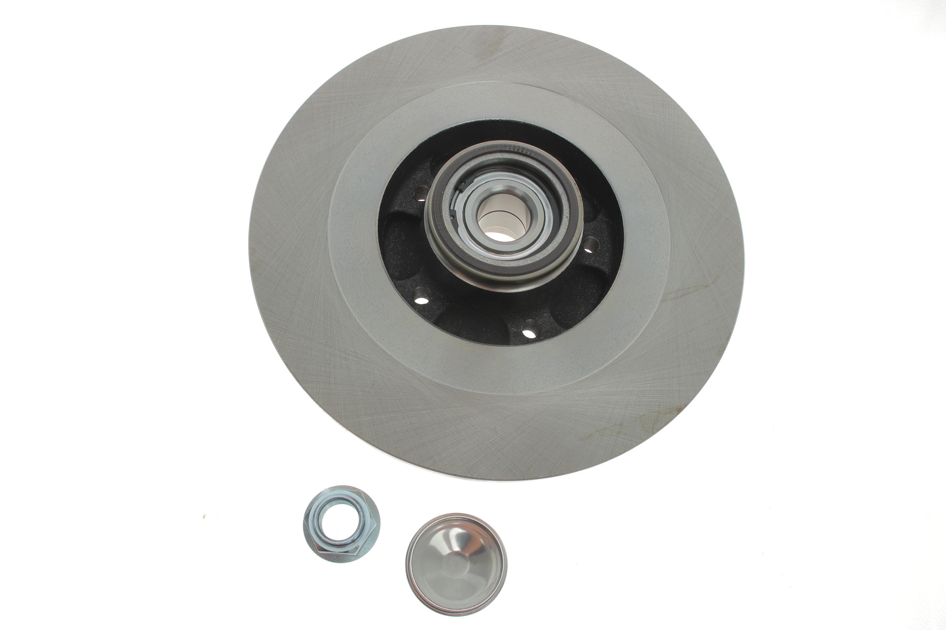 Диск гальмівний (задній) Renault Scenic III 2.0dCi 09- (290х11) (+ABS) (з підшипником)