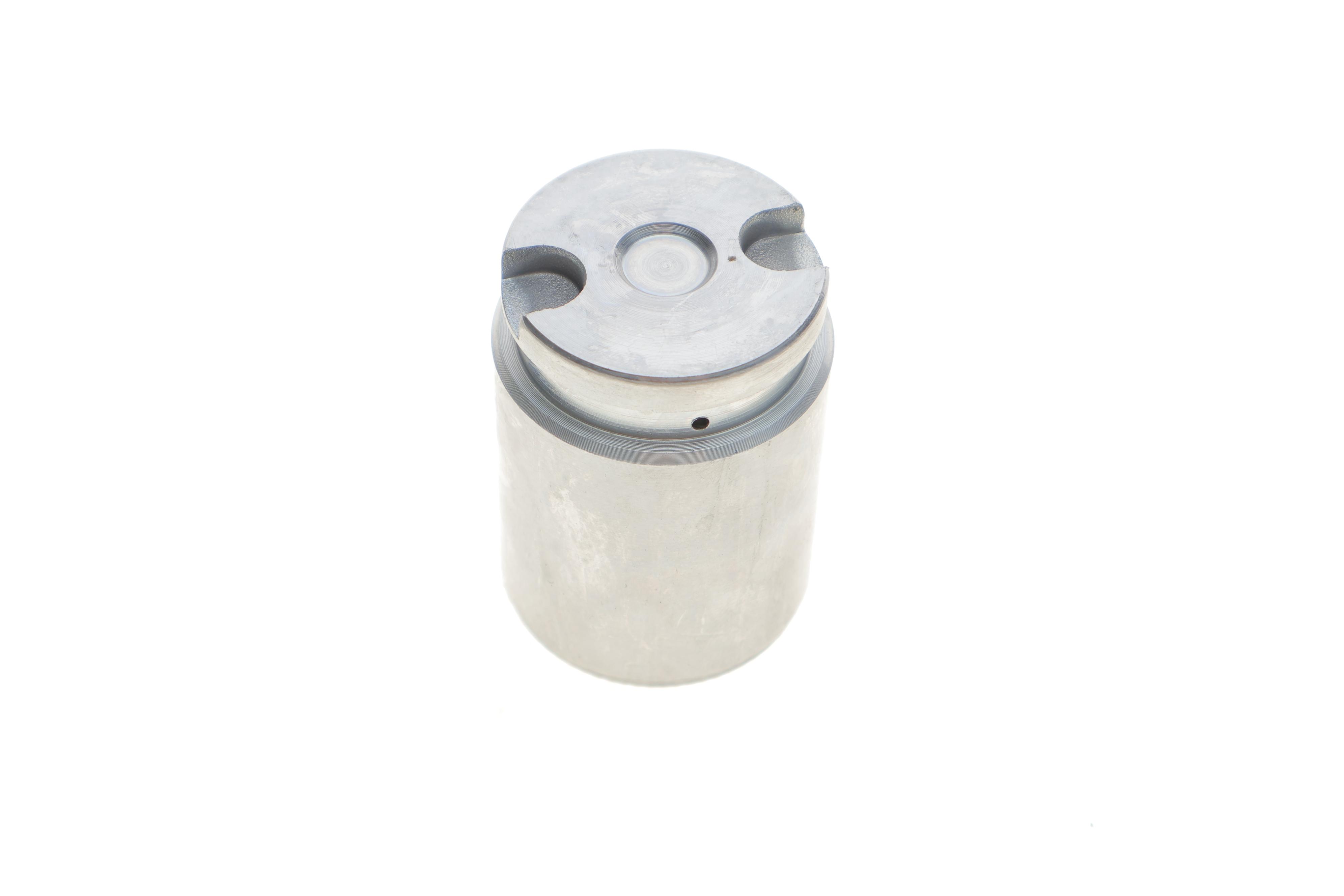 Поршень супорта (заднього) Hyundai Elantra 00-06/Kia Cee'd 12- (34x48mm) (TRW)