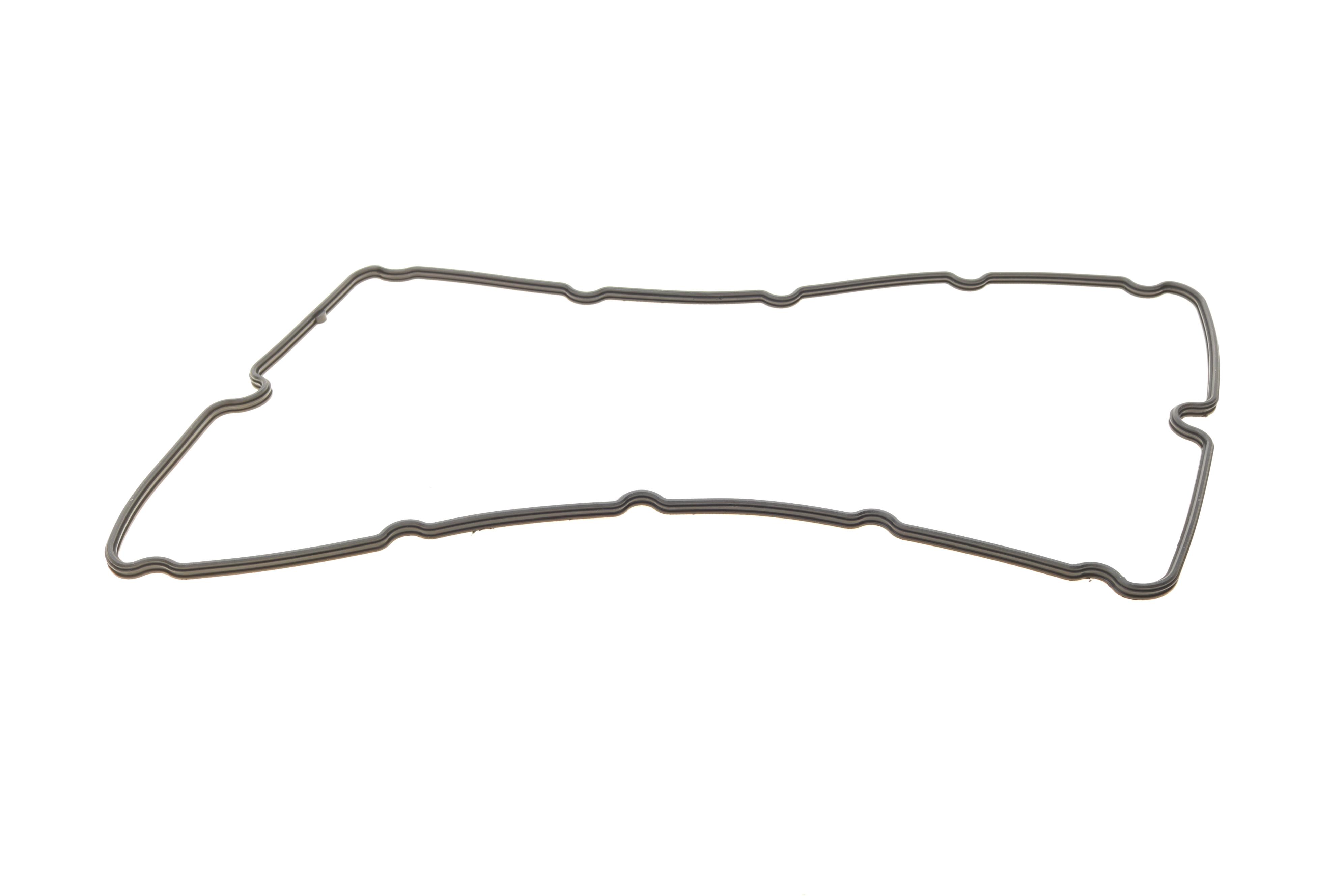 Комплект прокладок (повний) Ford Transit 2.4DI 01-06 (без прокладки ГБЦ)