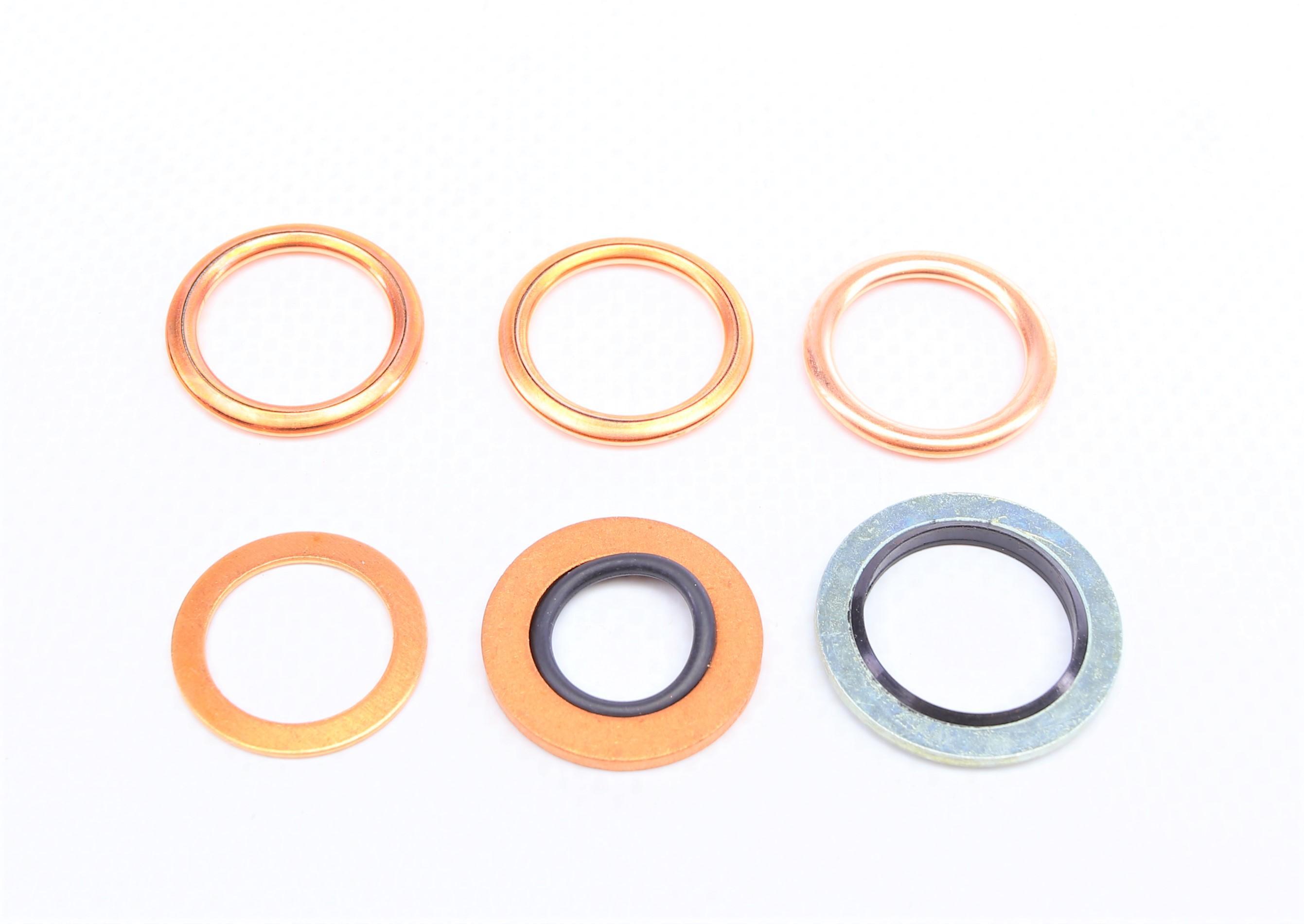 Комплект прокладок (нижній) Renault Kangoo/Megane 1.4-1.6LPG 96-