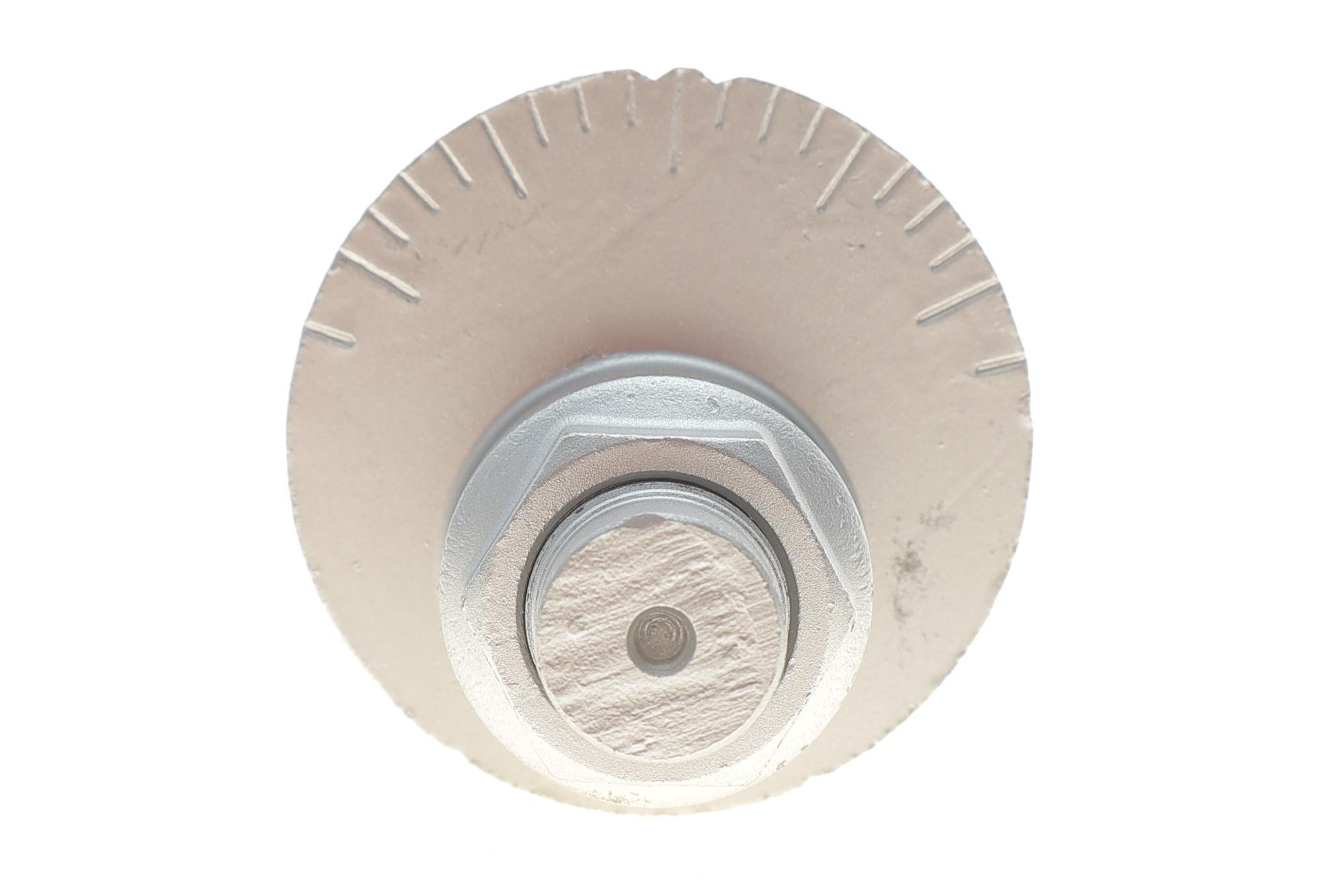 Болт регулювання кута развалу Toyota Land Cruiser 200/Sequoia/Tundra 06-