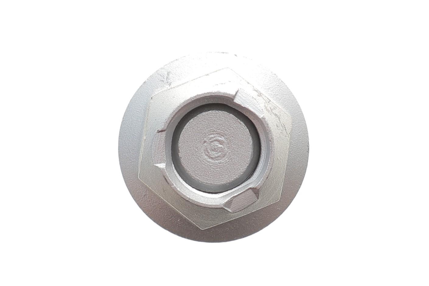 Болт важеля (заднього) BMW X3 (F25)/X4 (F26) 11-18 B47/N47/N52/N55/N57