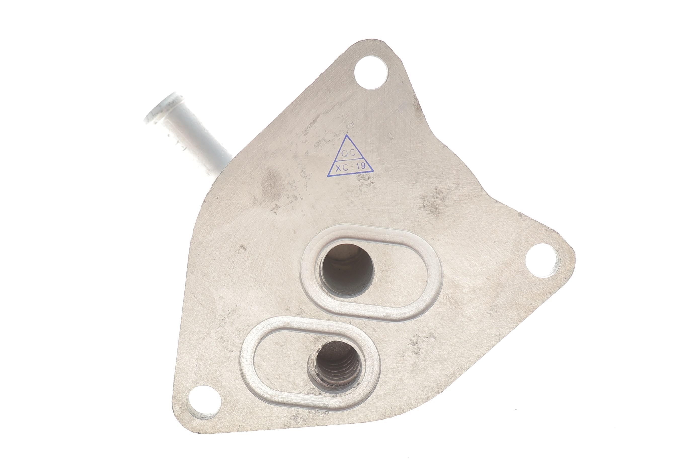 Радіатор масляний Citroen Jumpy/Peugeot Expert 2.0 BlueHDi 16- (теплообмінник)