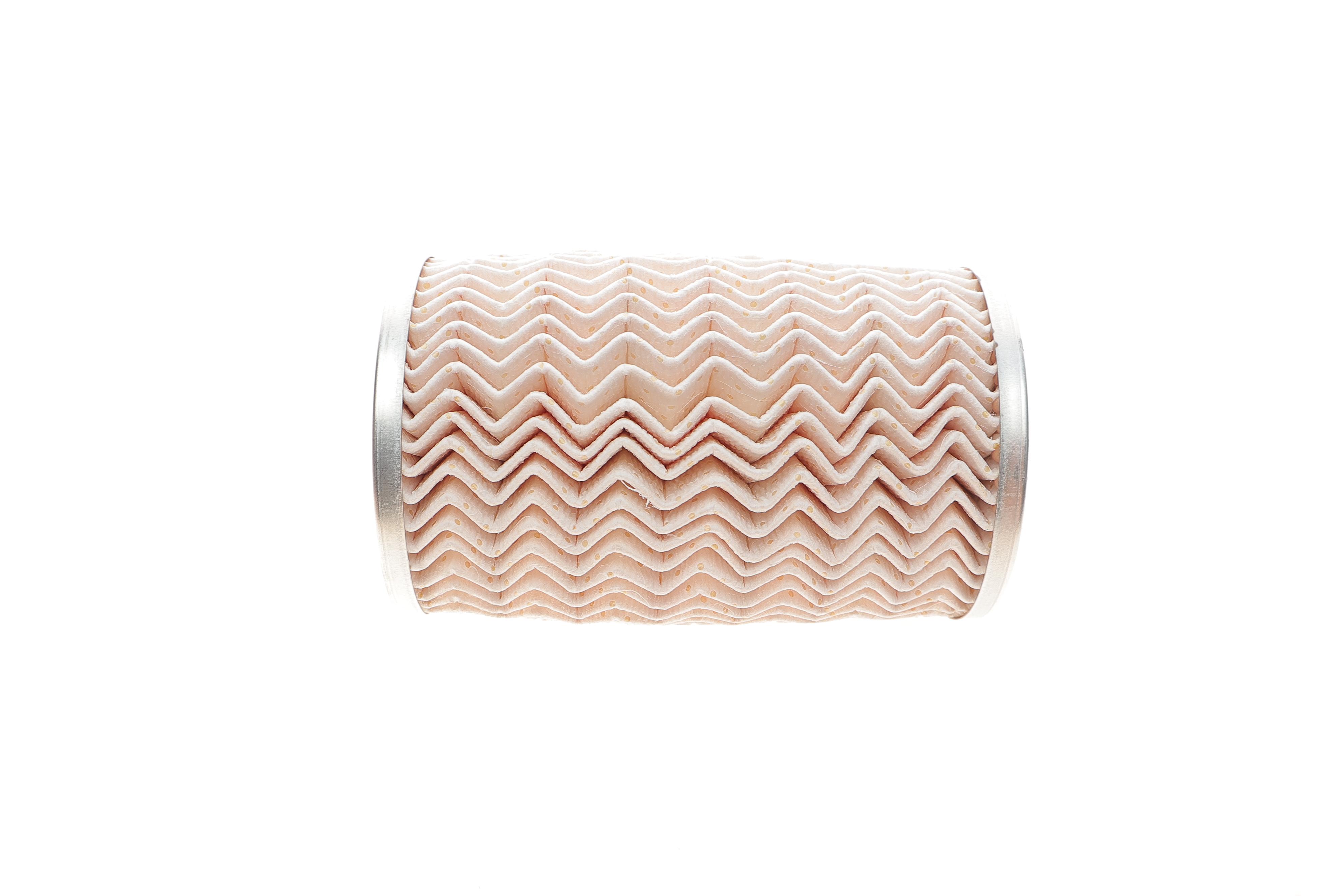 Фільтр паливний Renault Trafic/Master 1.9-3.0dCi 03-