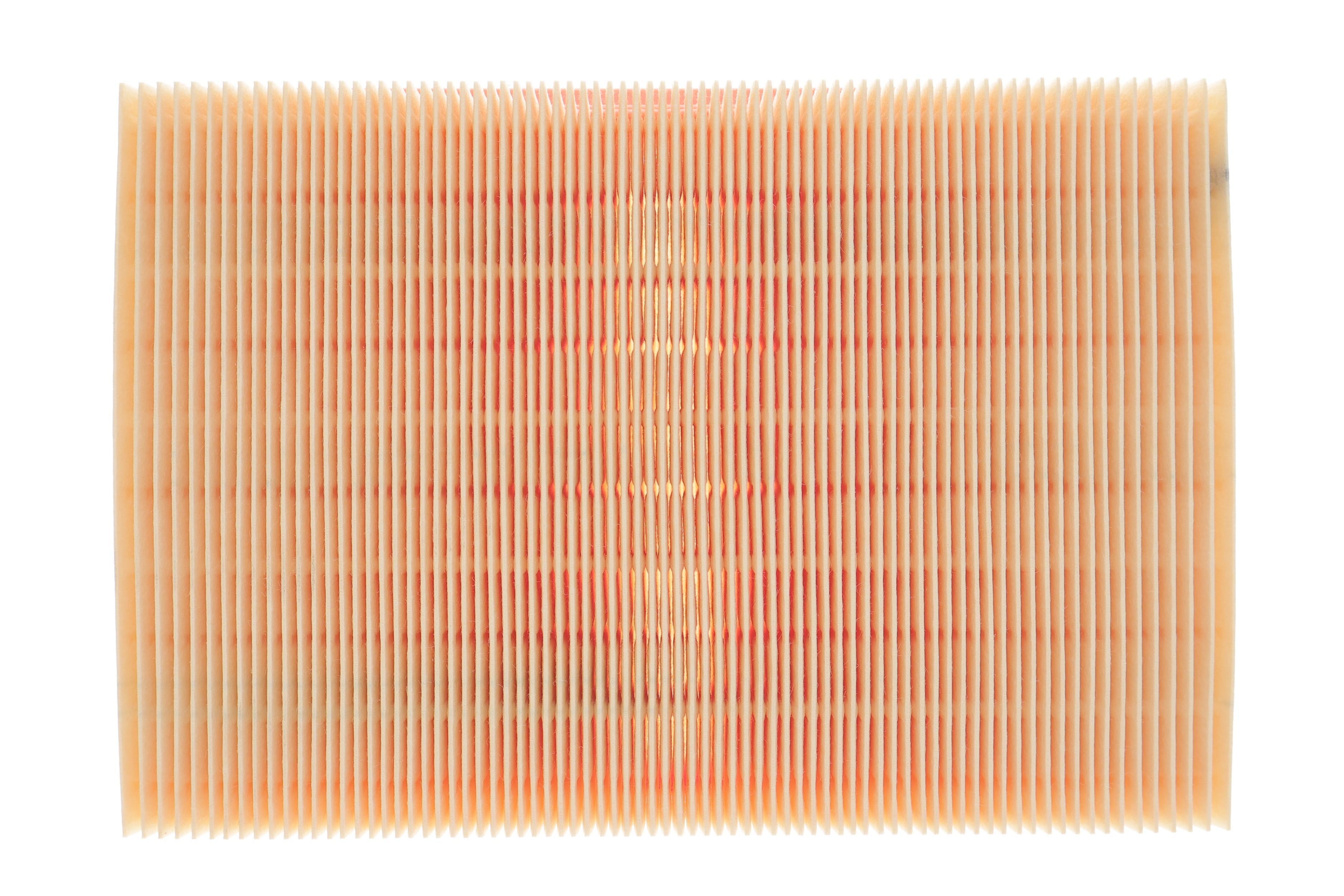 Фільтр повітряний BMW 3 (E36/E46)/ 5 (E39)/X3 (E83) 90-07 (M52/M54)