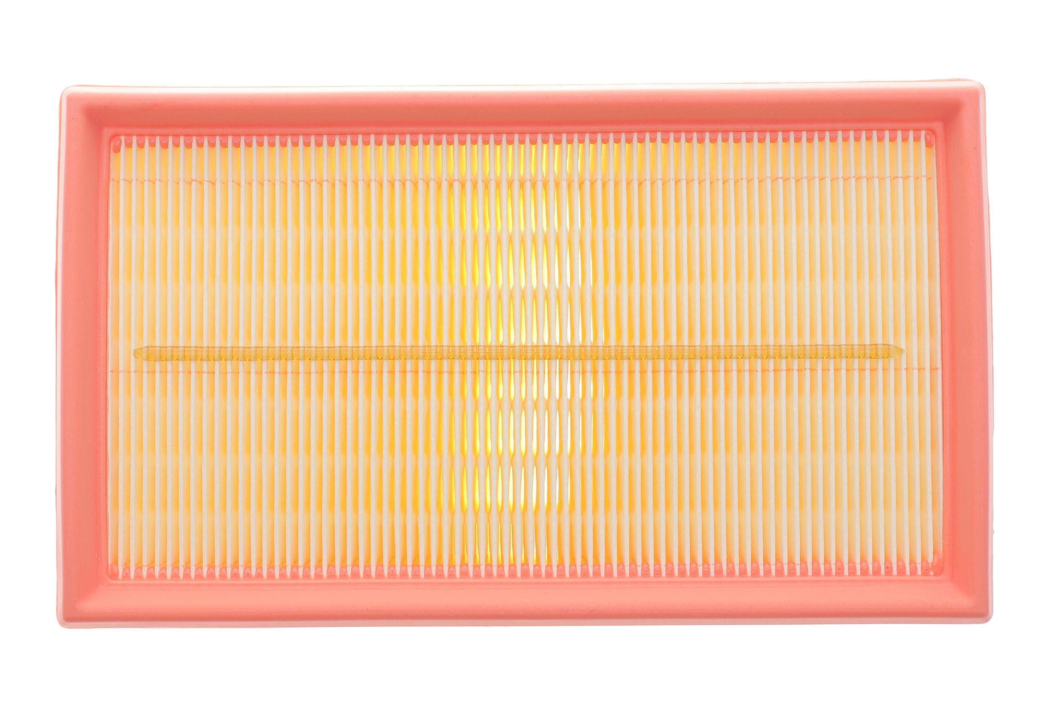 Фільтр повітряний Nissan Cube/Juke/Micra/Note/NV200/Renault Clio/Modus 1.2-2.0 03-