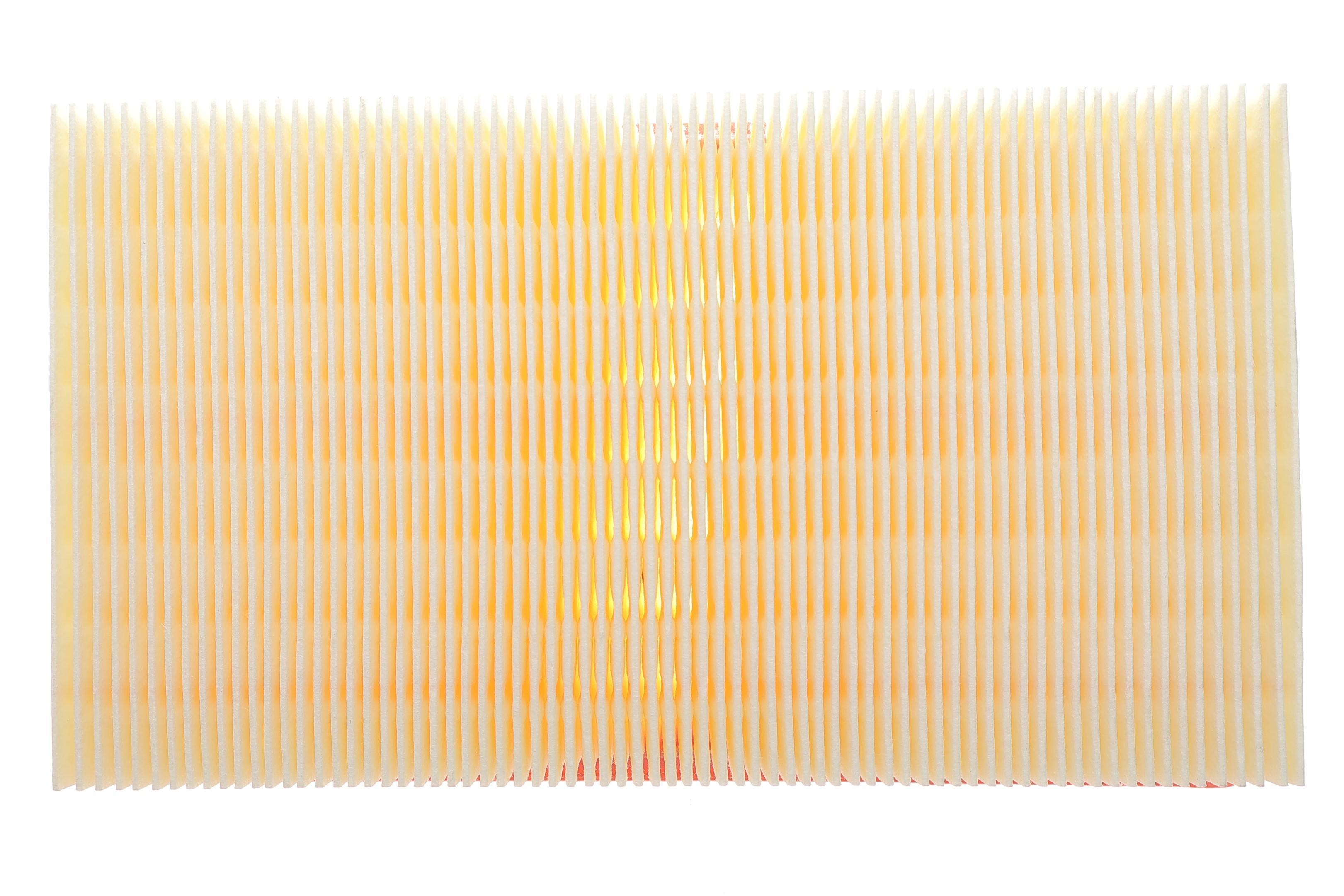 Фільтр повітряний Nissan Cube/Juke/Micra/Note/NV200/Renault Clio/Modus 1.2-2.0 03-