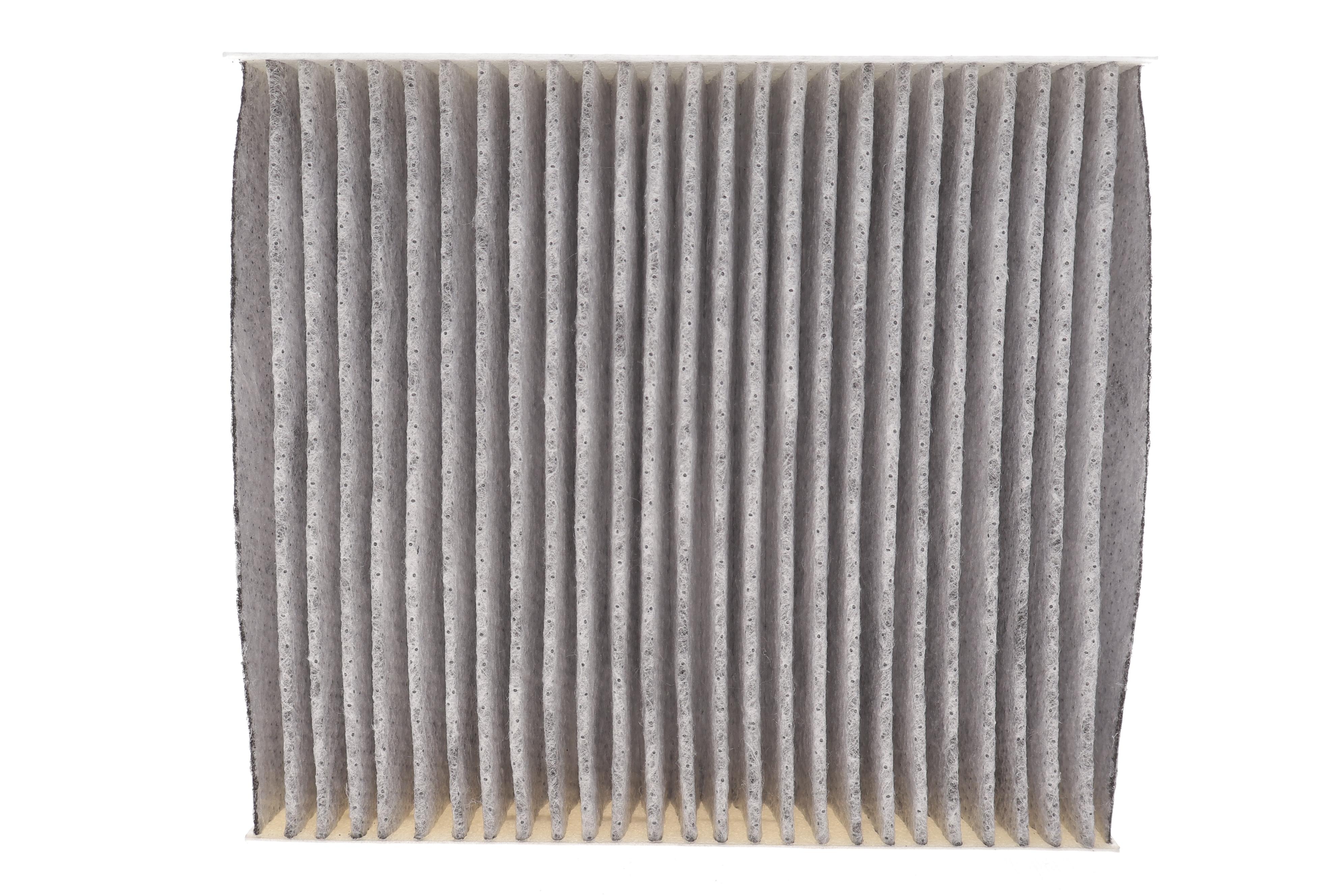 Фільтр салону Ford Focus 1.6i-2.0TDCI 04- (вугільний)