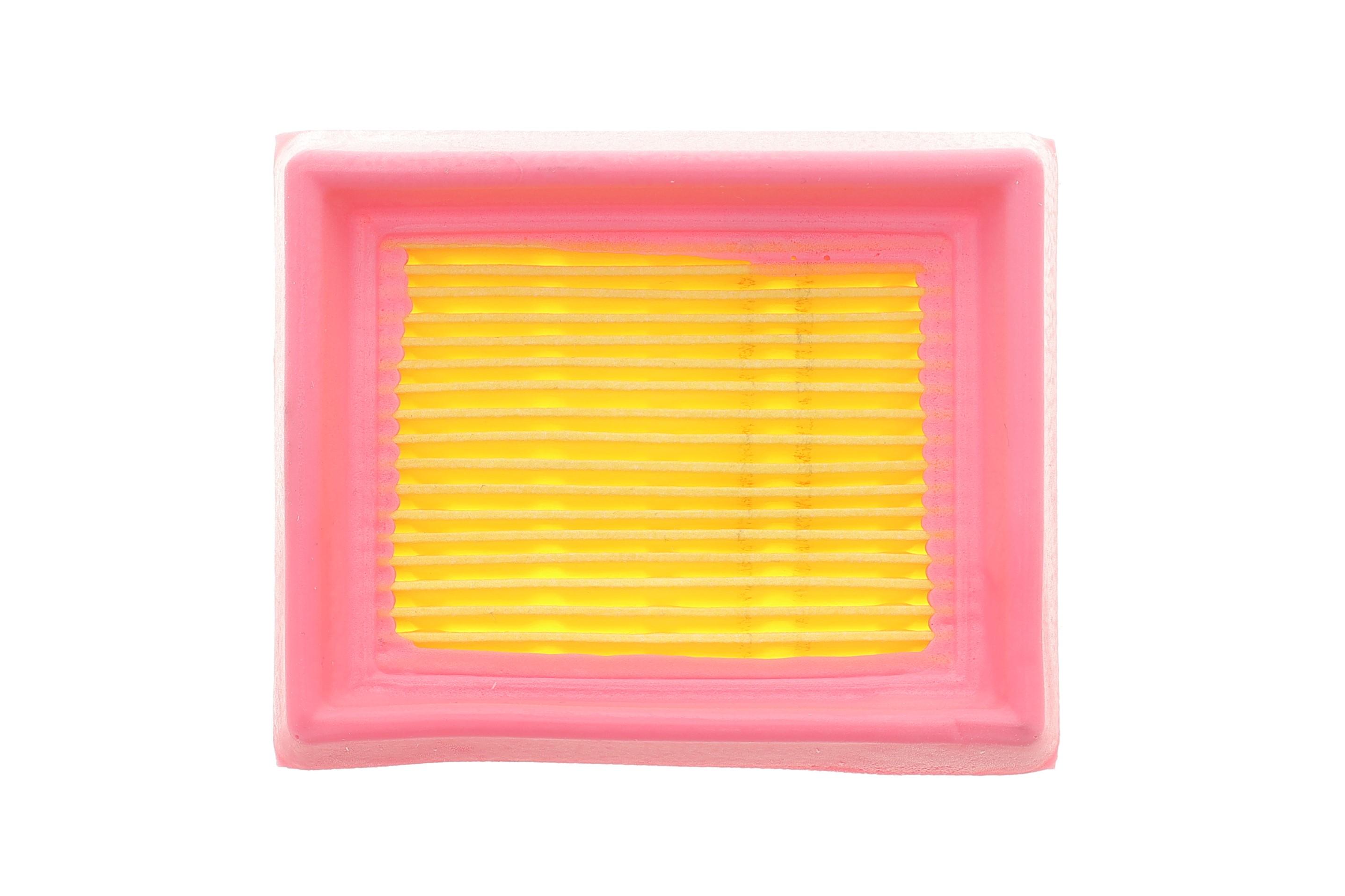 Фільтр повітряний Ford Transit 2.0 EcoBlue RWD 19- (додатковий)