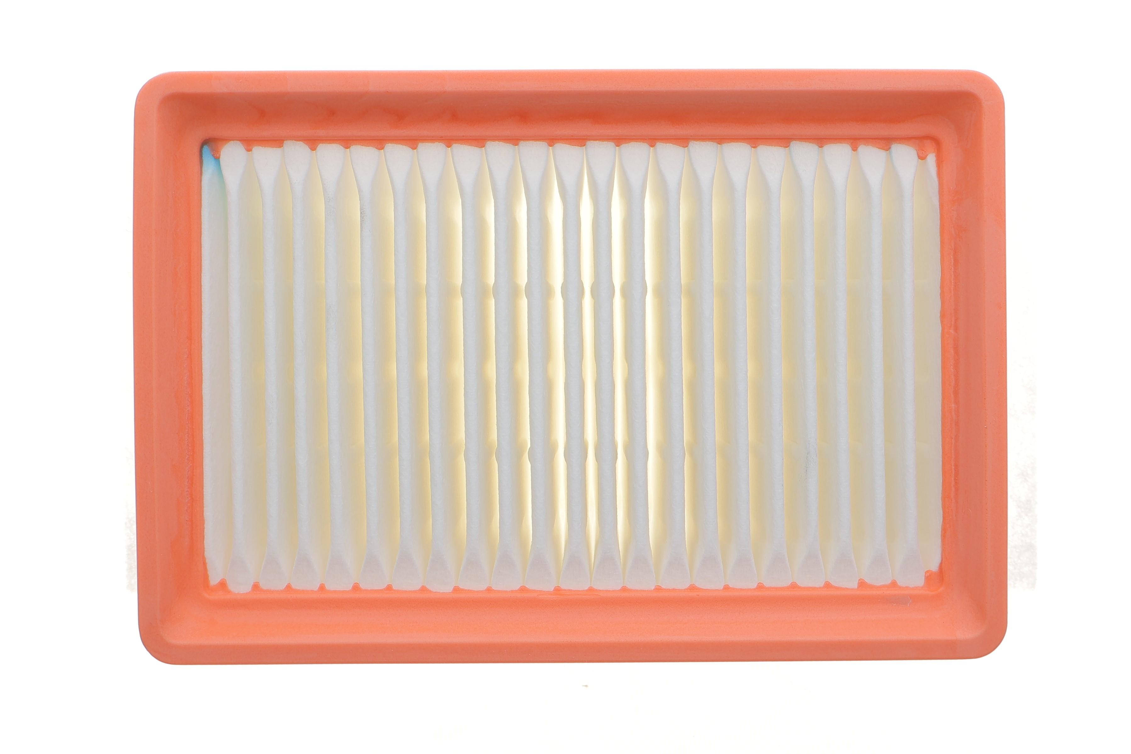 Фільтр повітряний Dacia Logan/Sandero/Renault Clio 1.0 TCe 19-