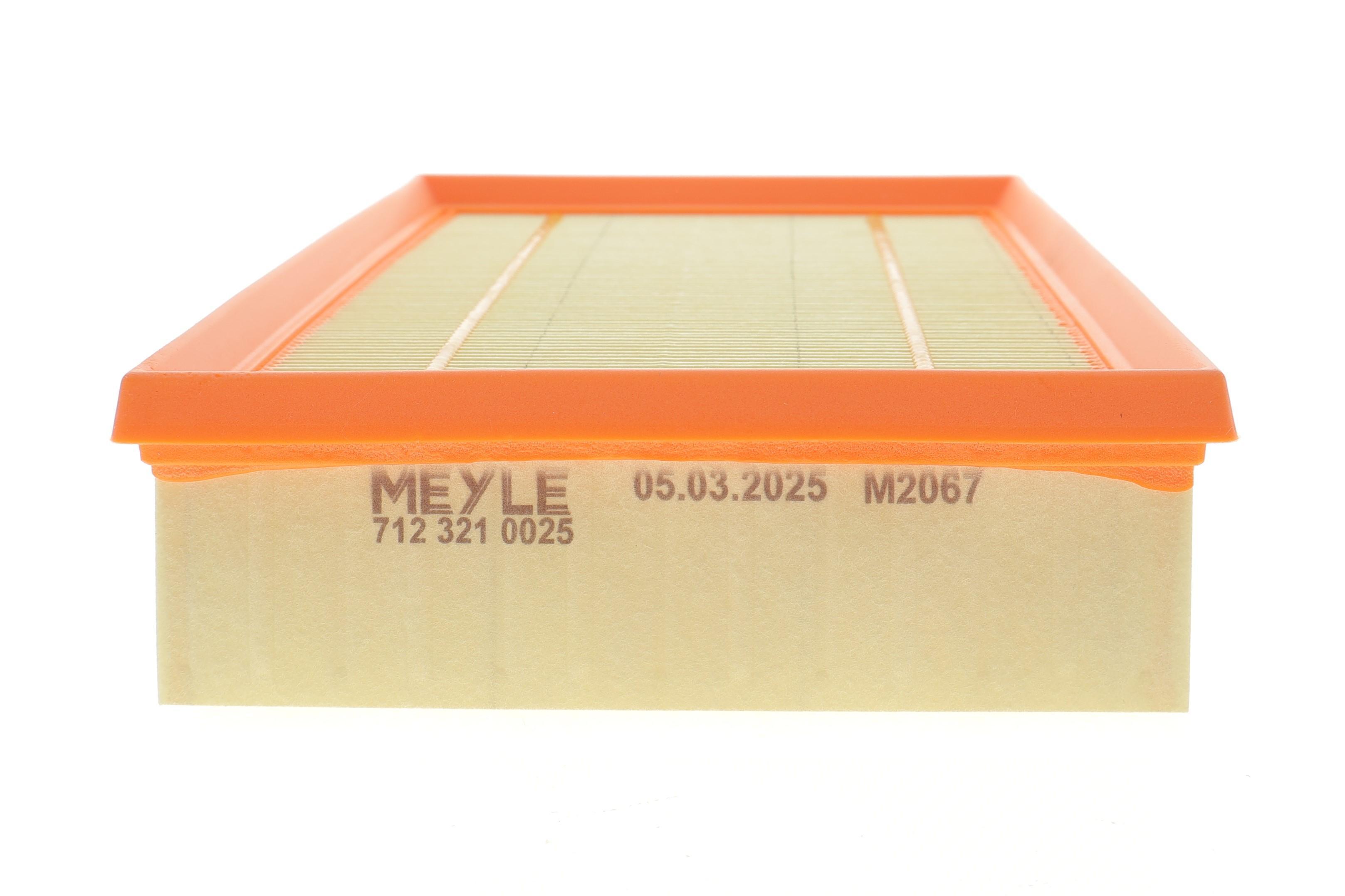 Фільтр повітряний Ford Transit 2.0EcoBlue 16-