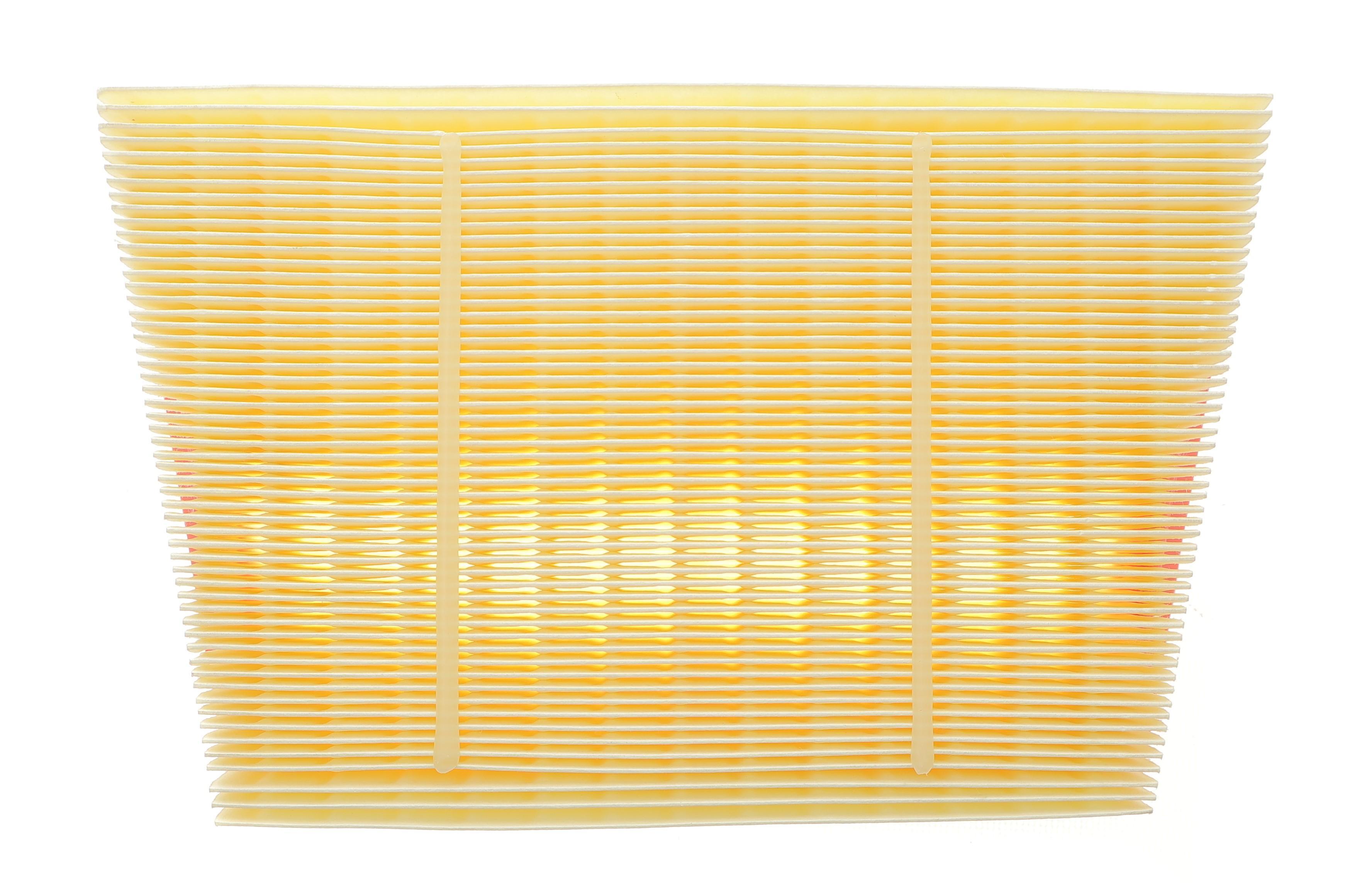 Фільтр повітряний Land Rover Range Rover Evoque 1.5/2.0/2.0D 15-/Discovery Sport 1.5/2.0/2.0D 14-