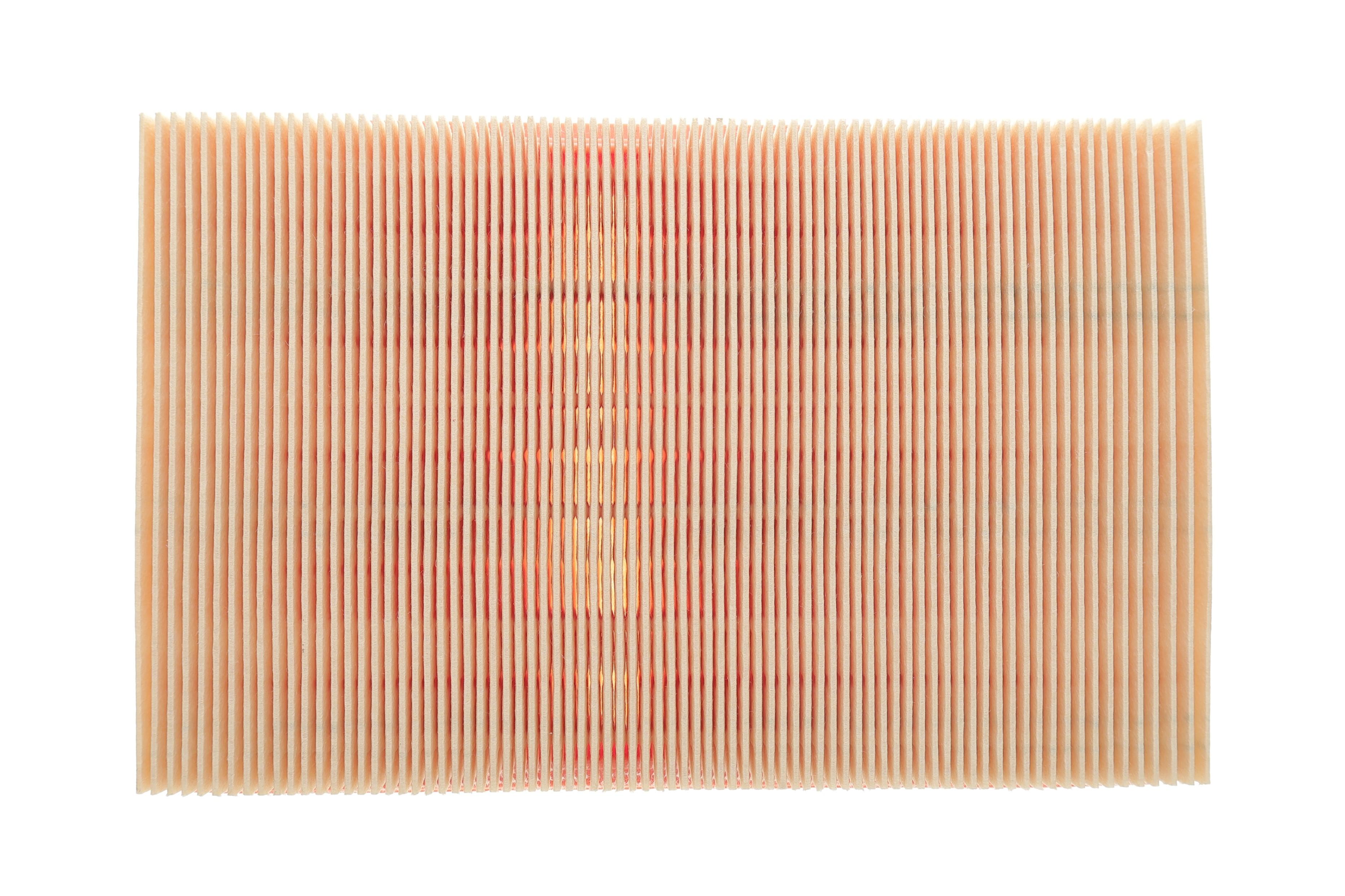 Фільтр повітряний Citroen C4 2.0 16V 04-07/Peugeot 307 1.4/1.6 16V/2.0 16V 00-09