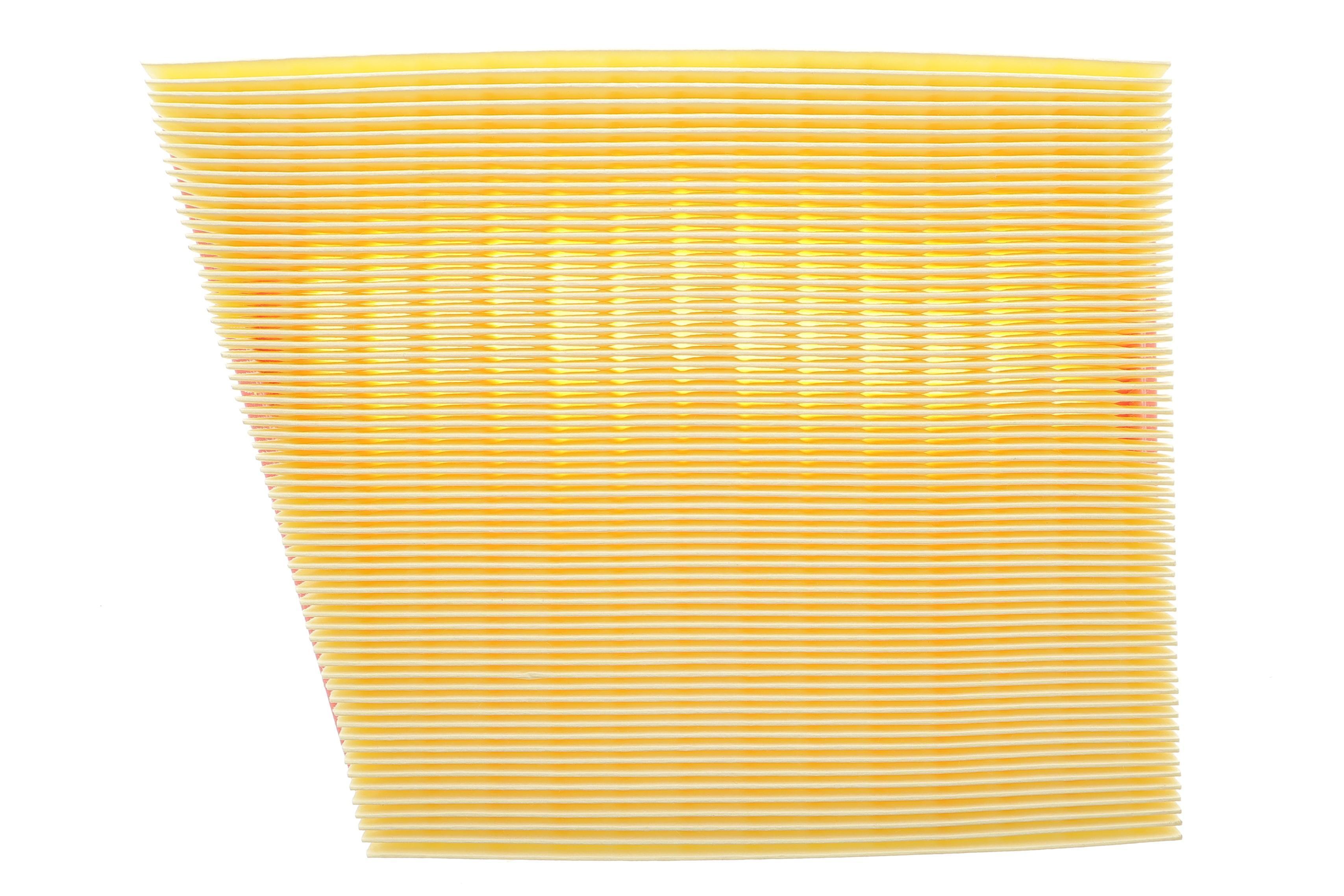 Фільтр повітряний Jaguar XE/XF/Land Rover Range Rover 2.0/3.0D 17-