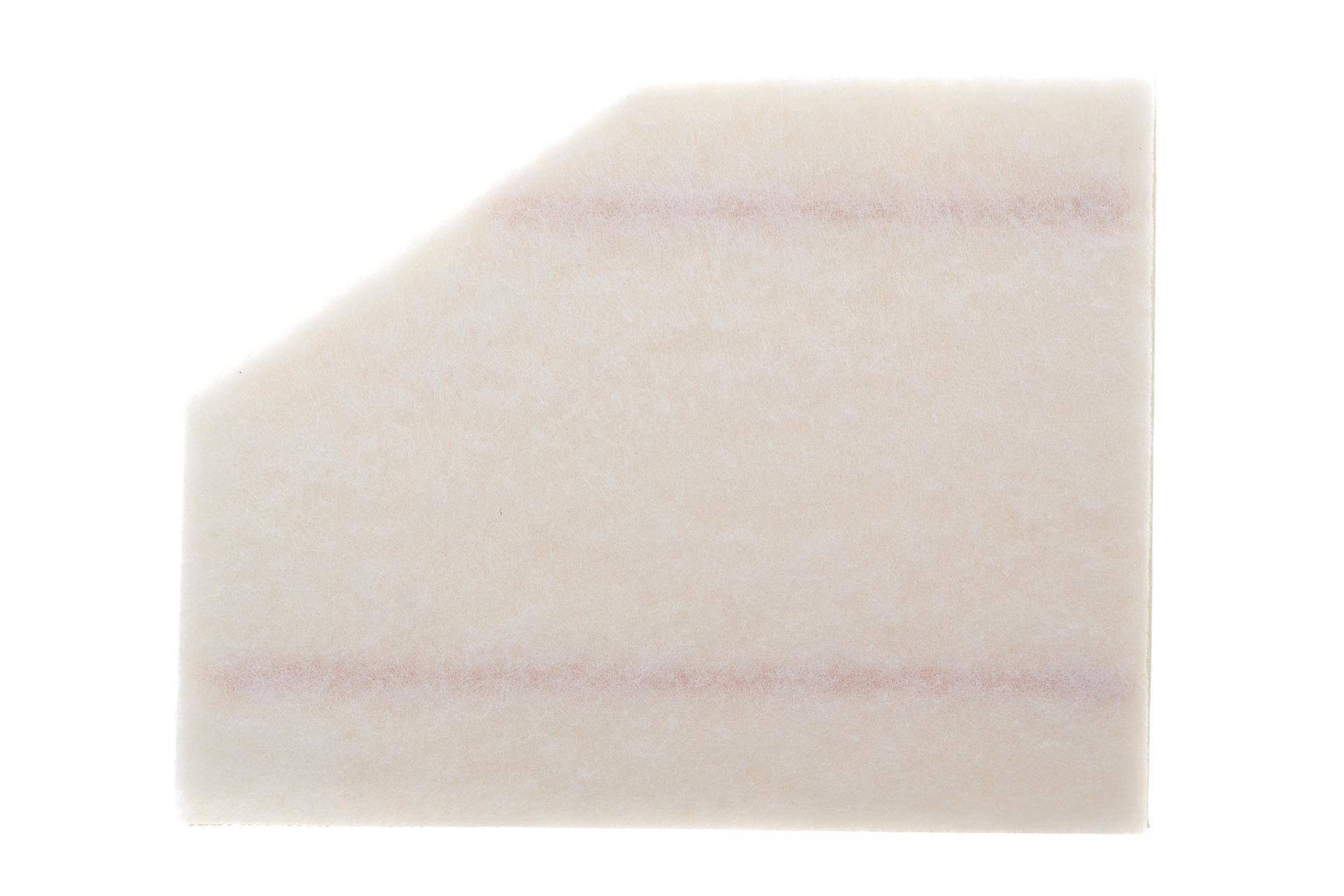 Фільтр повітряний BMW 5 (G31)/7 (G07)/X5 (G05) 3.0 16- (M90/B57/B58)