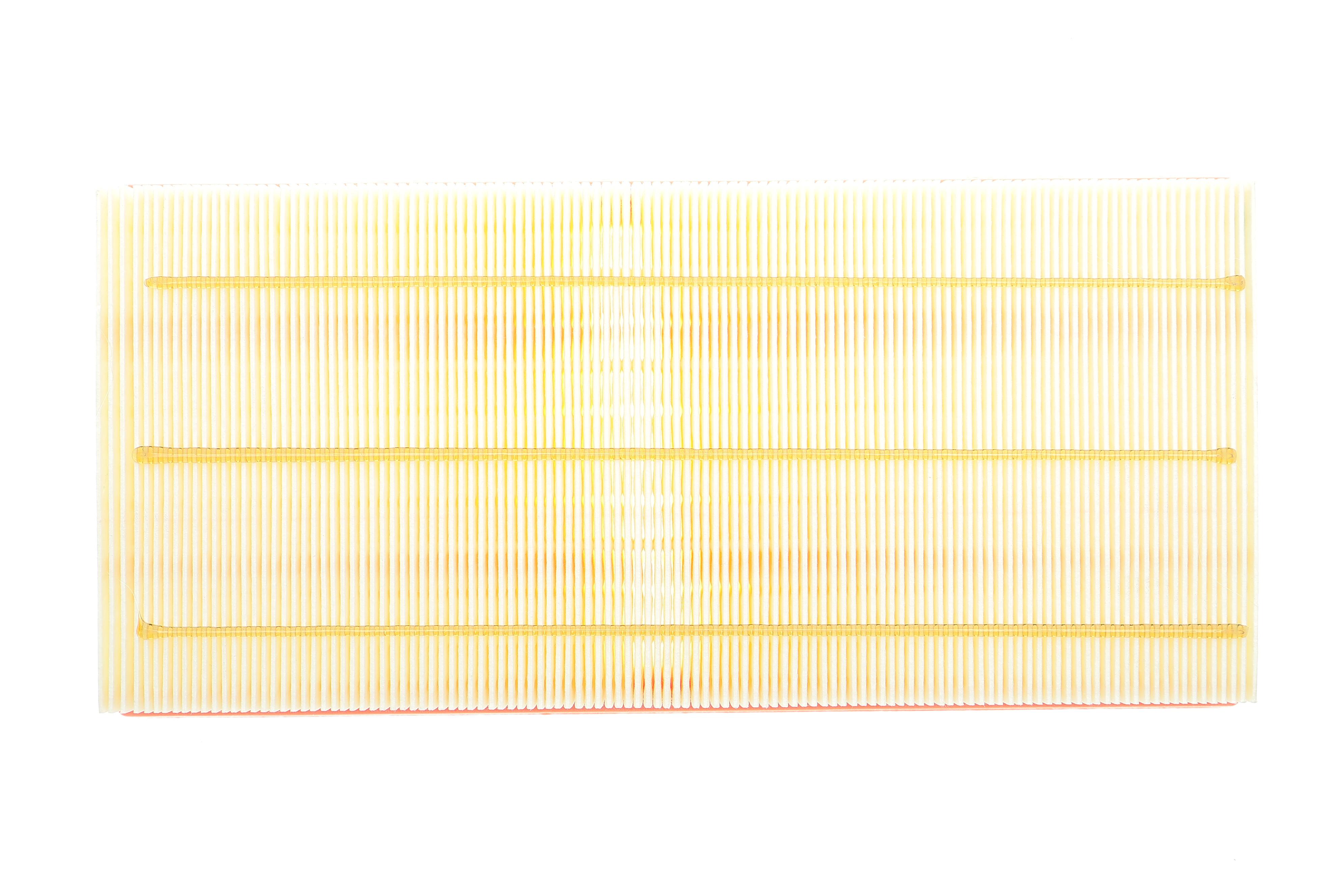 Фільтр повітряний Land Rover Range Rover/Discovery 2.0-5.0 09-