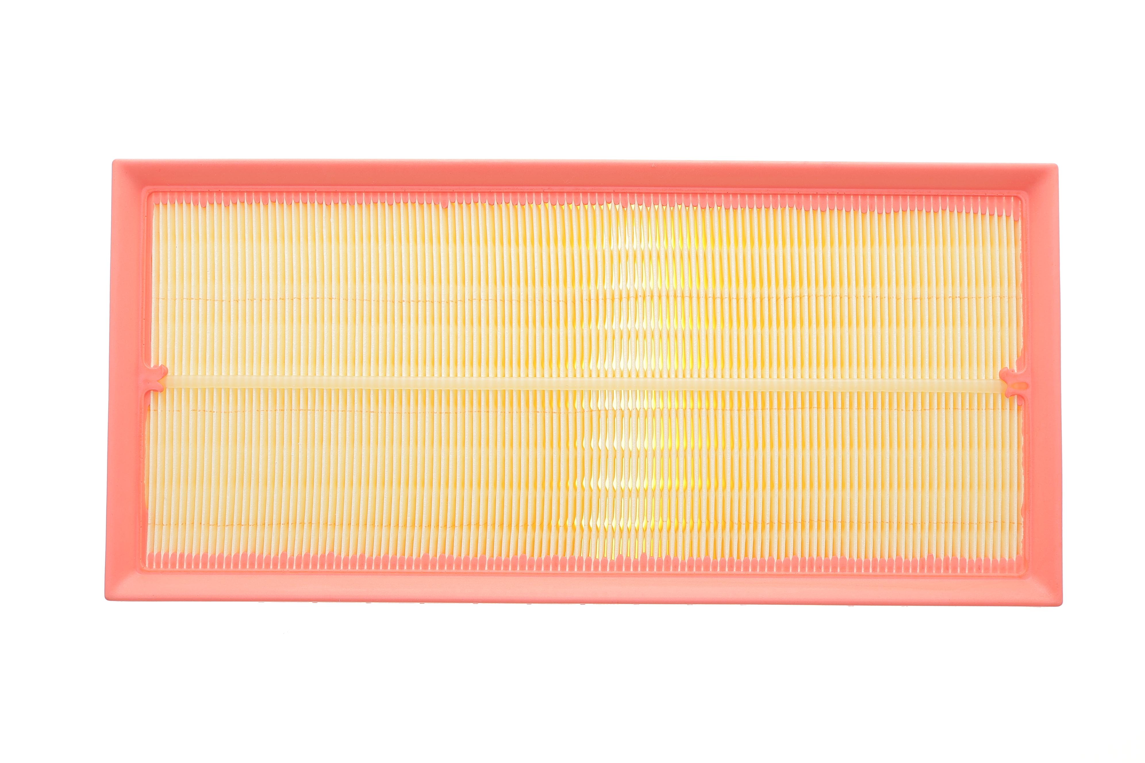 Фільтр повітряний Land Rover Discovery 2.0Td/3.0D/3.0/5.0/Range Rover/Sport 3.0/D/TD/4.4D/5.0 09-