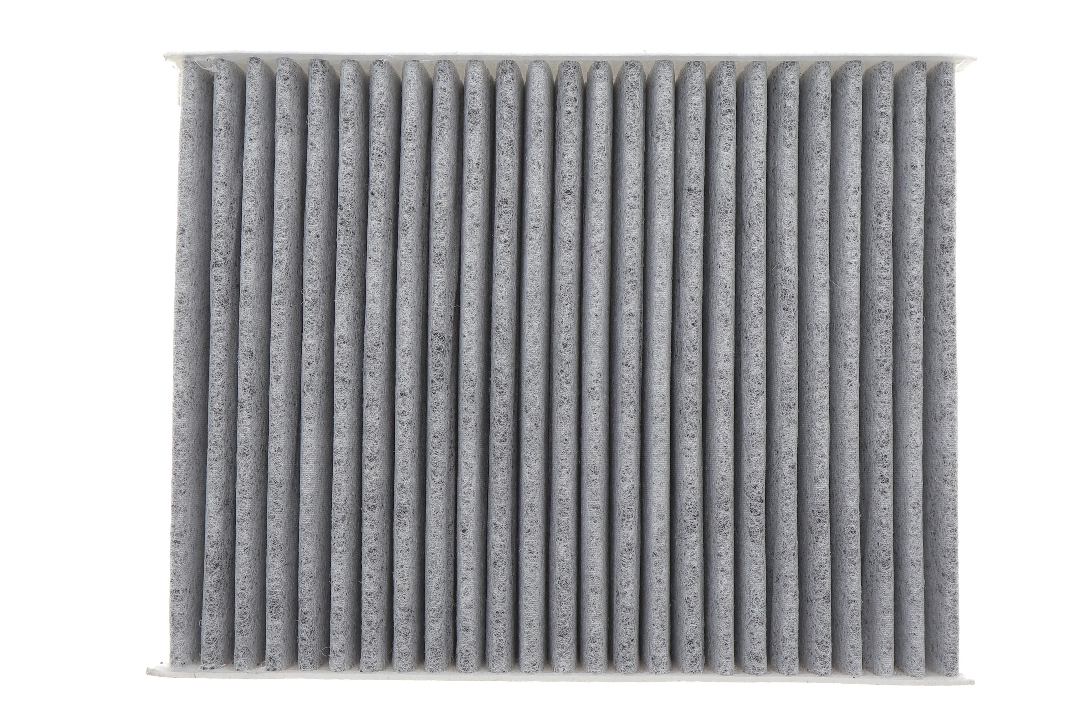 Фільтр салону Citroen C3 09-/C4 Cactus/Peugeot 2008 13-/207 06-15/208 12- (к-кт 2шт.) (вугільний)