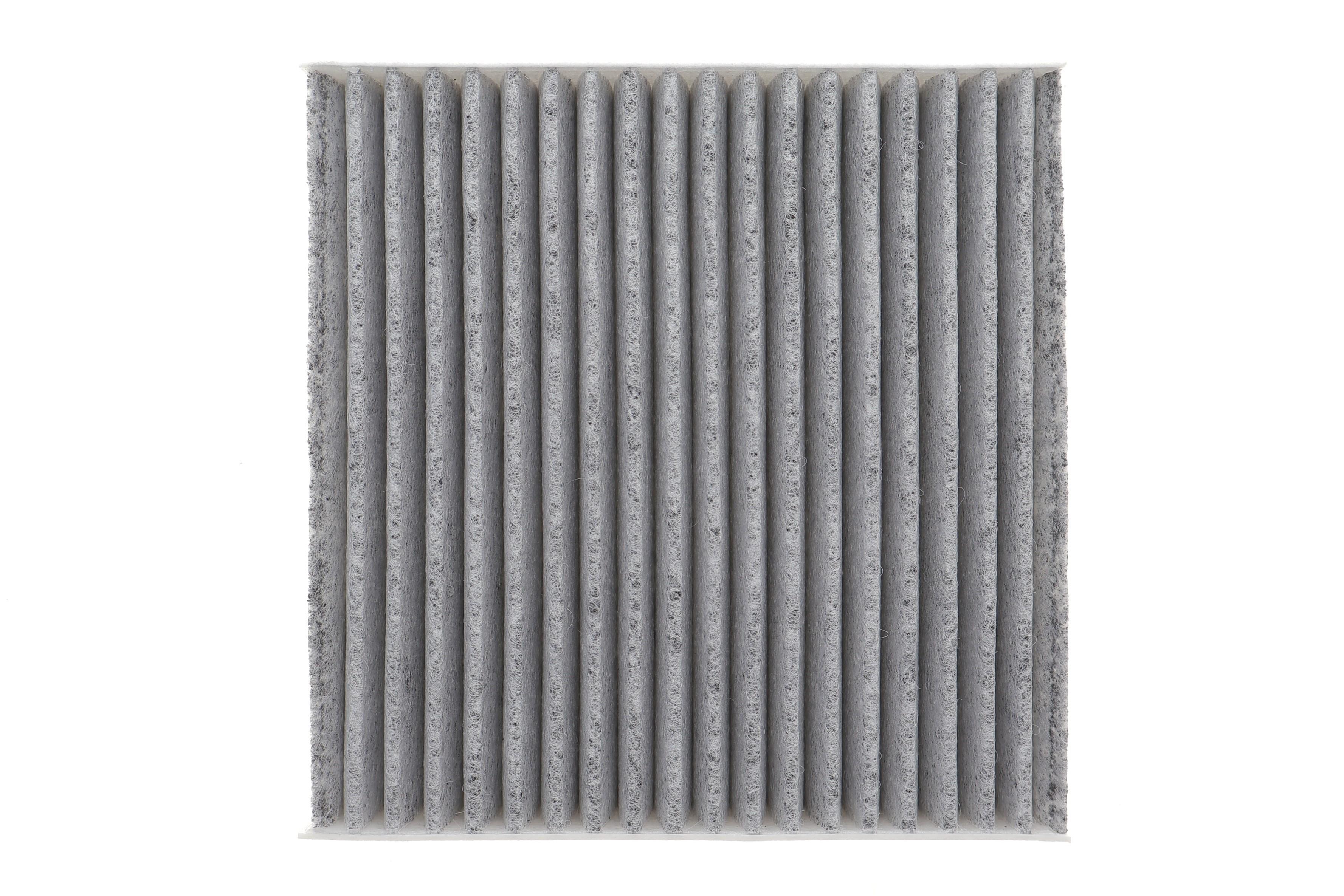 Фільтр салону Citroen C3 09-/C4 Cactus/Peugeot 2008 13-/207 06-15/208 12- (к-кт 2шт.) (вугільний)